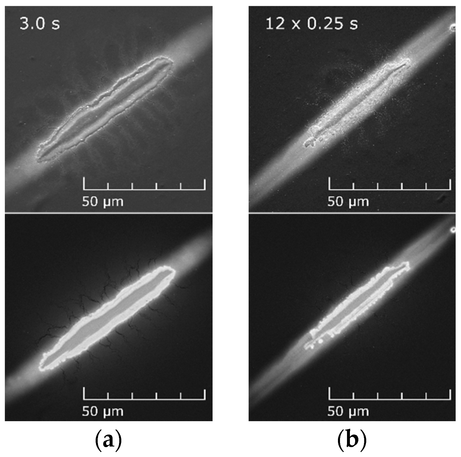 Applsci 10 07356 g011 Applsci 10 07356 g011
