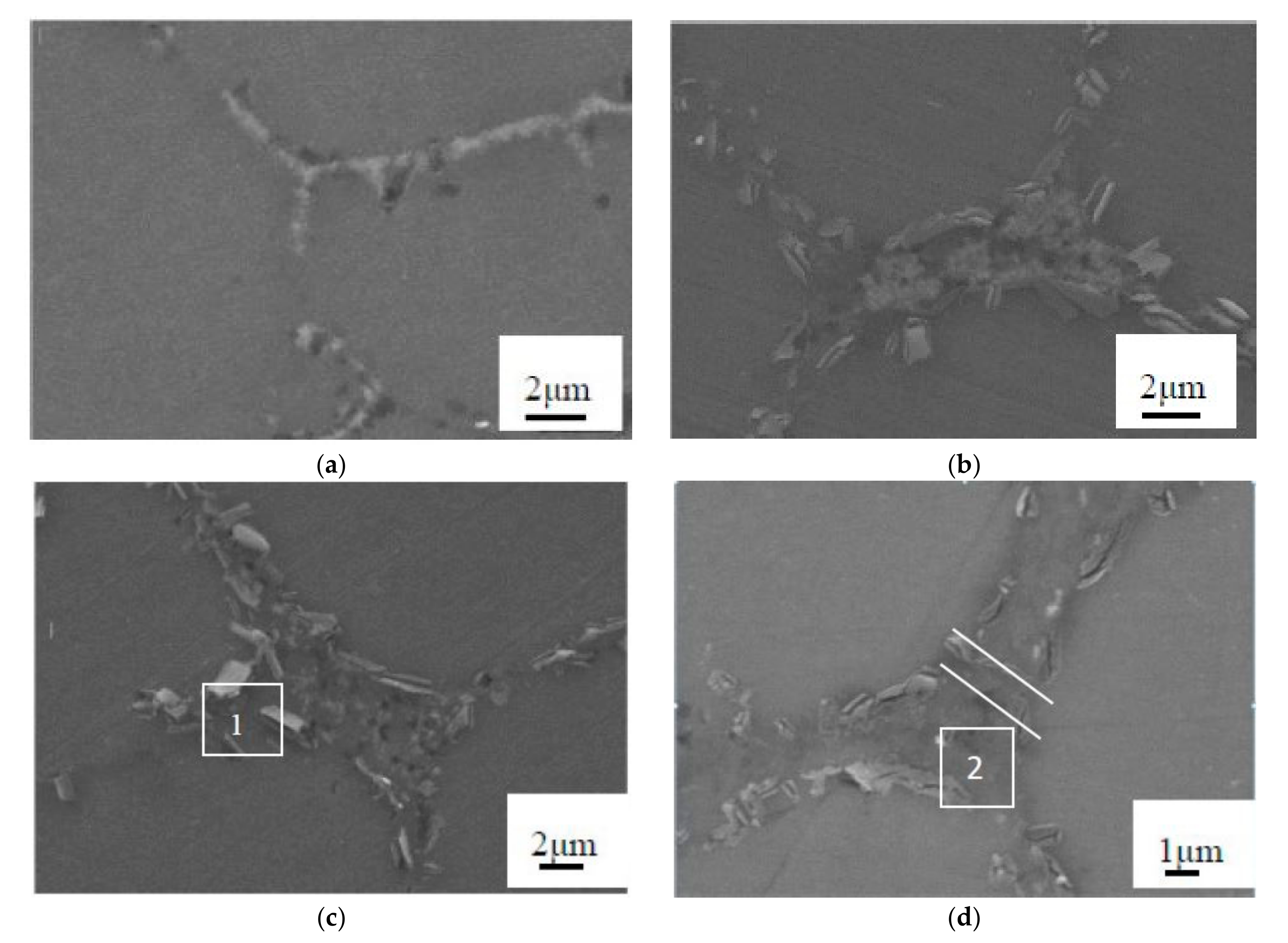 Applsci 10 07363 g004 550