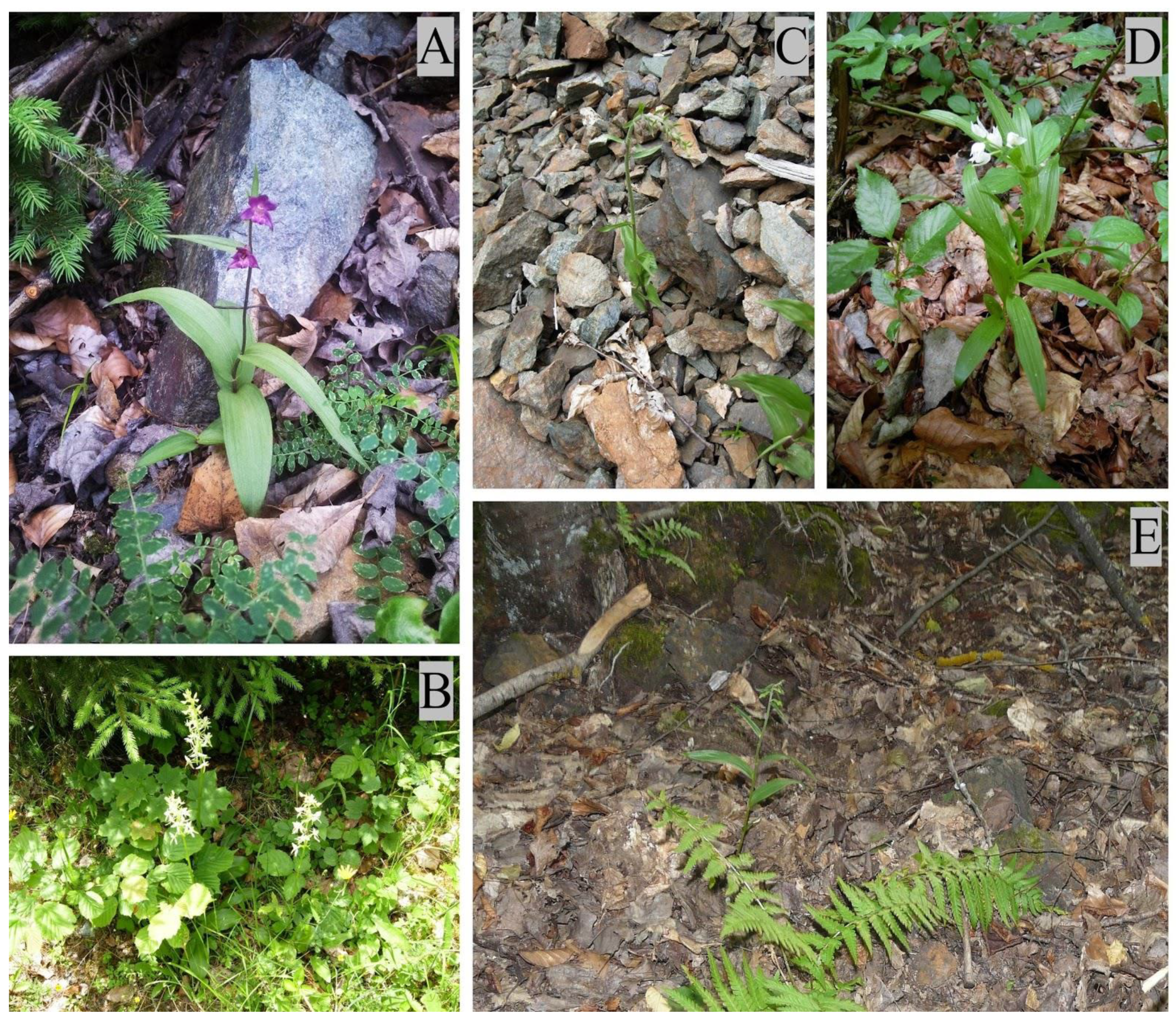 Applsci 10 07367 g001