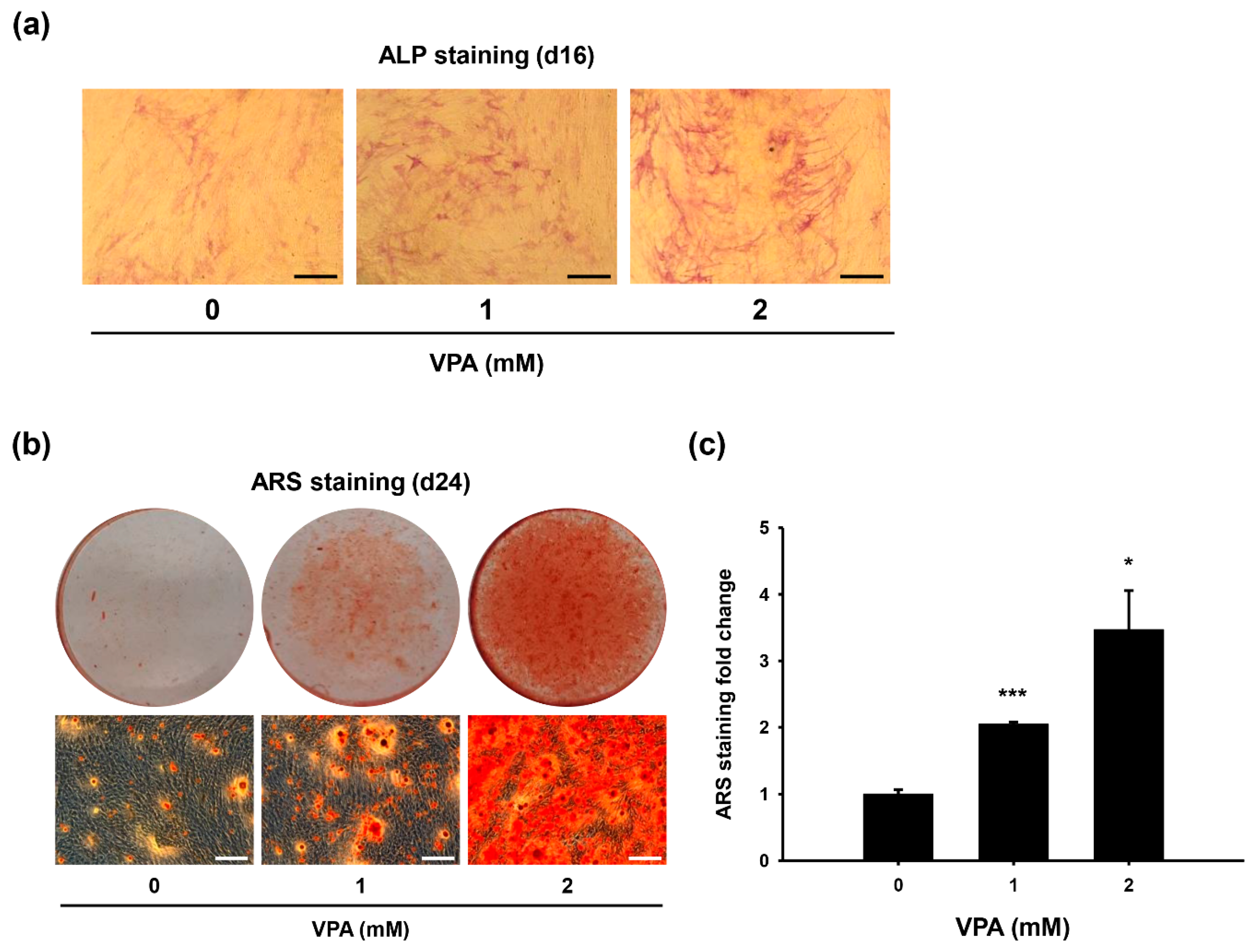 Applsci 10 07372 g001