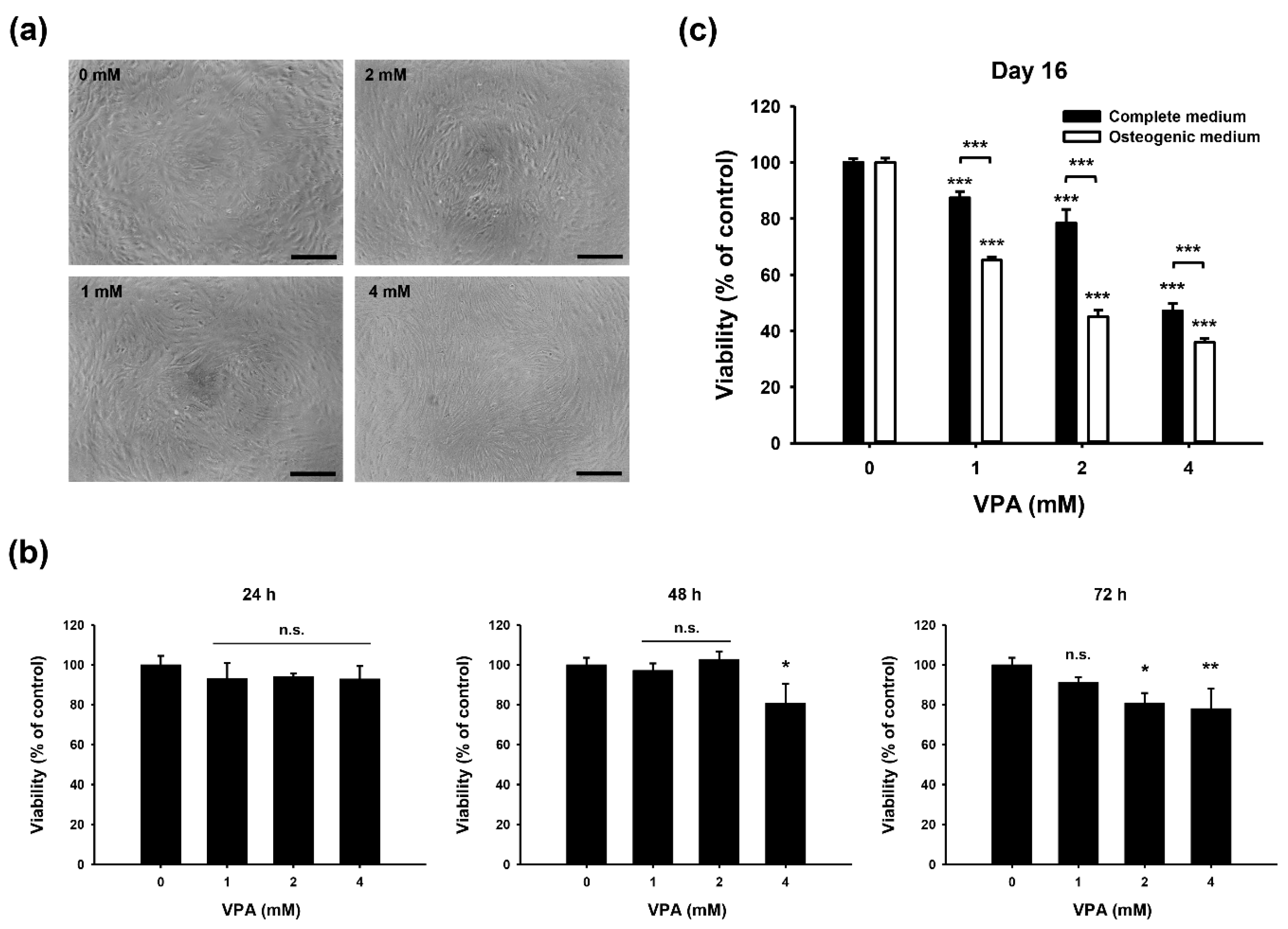 Applsci 10 07372 g002