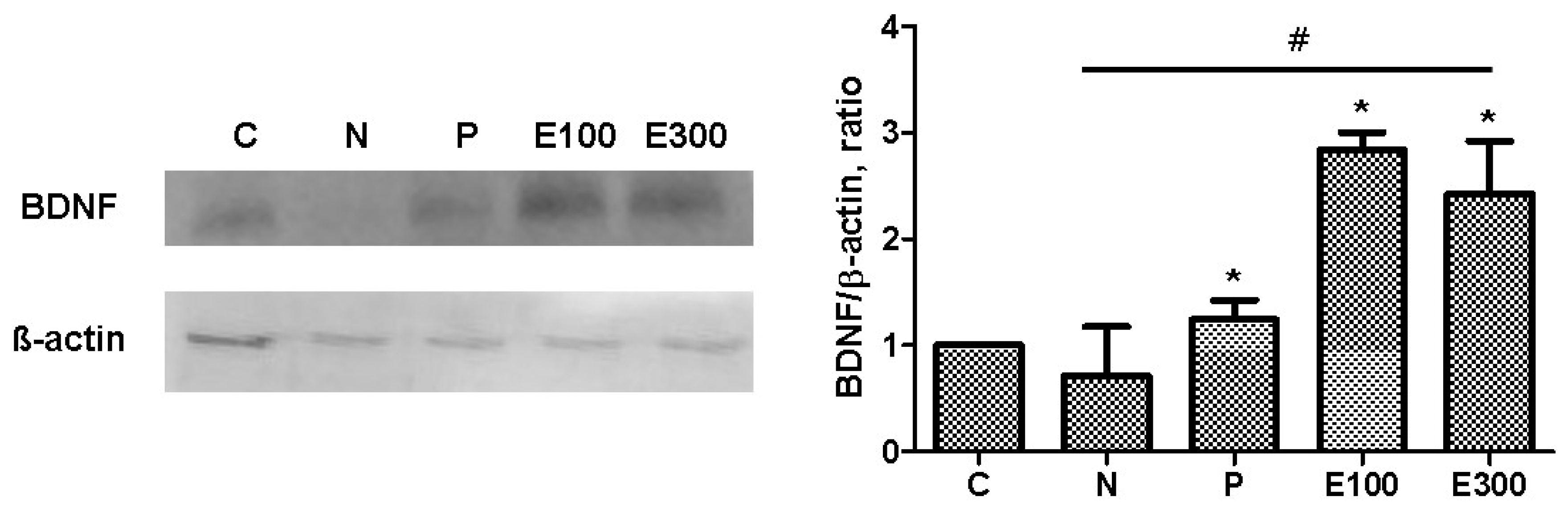 Applsci 10 07374 g005 Applsci 10 07374 g005