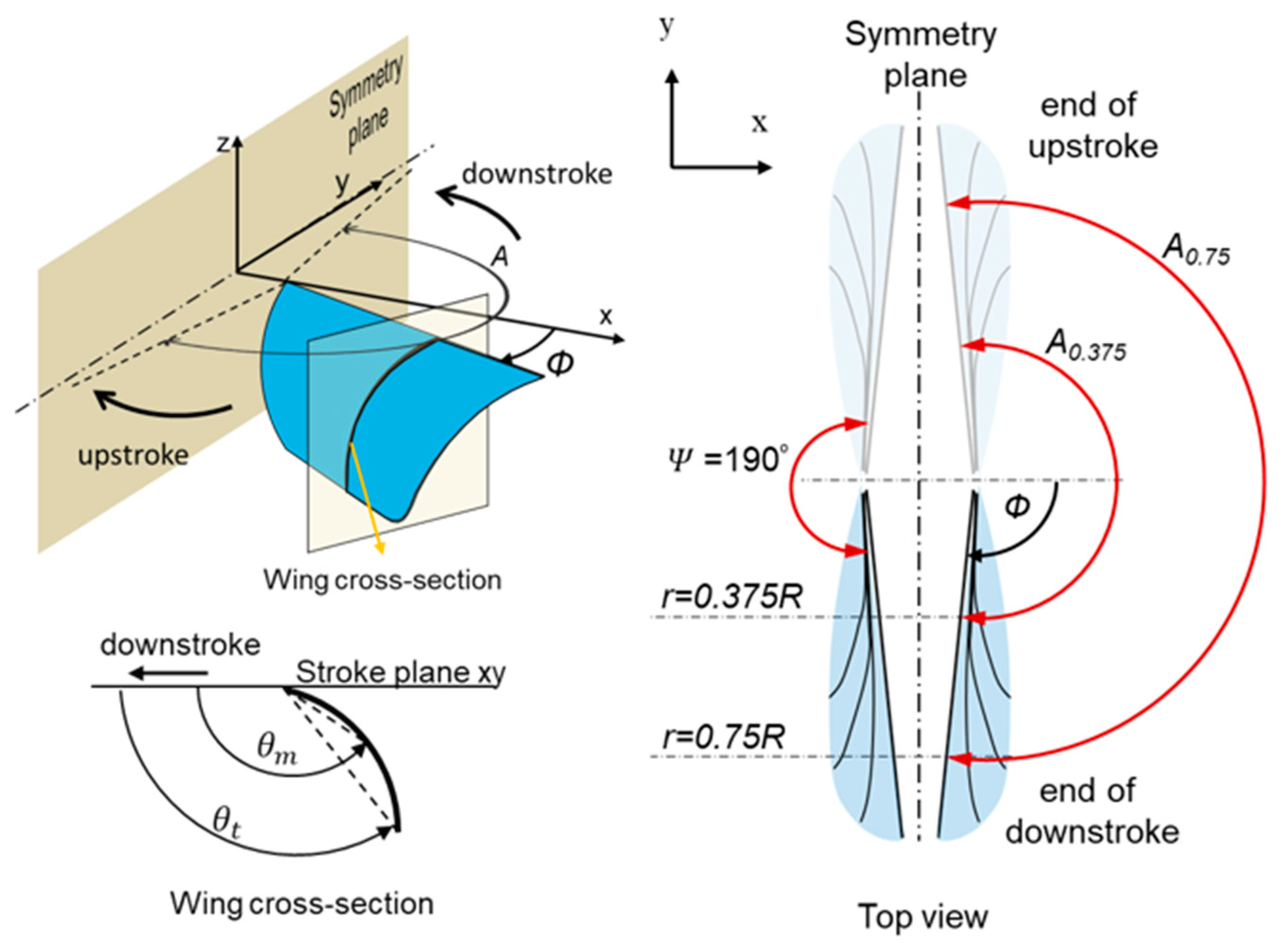 Applsci 10 07375 g001
