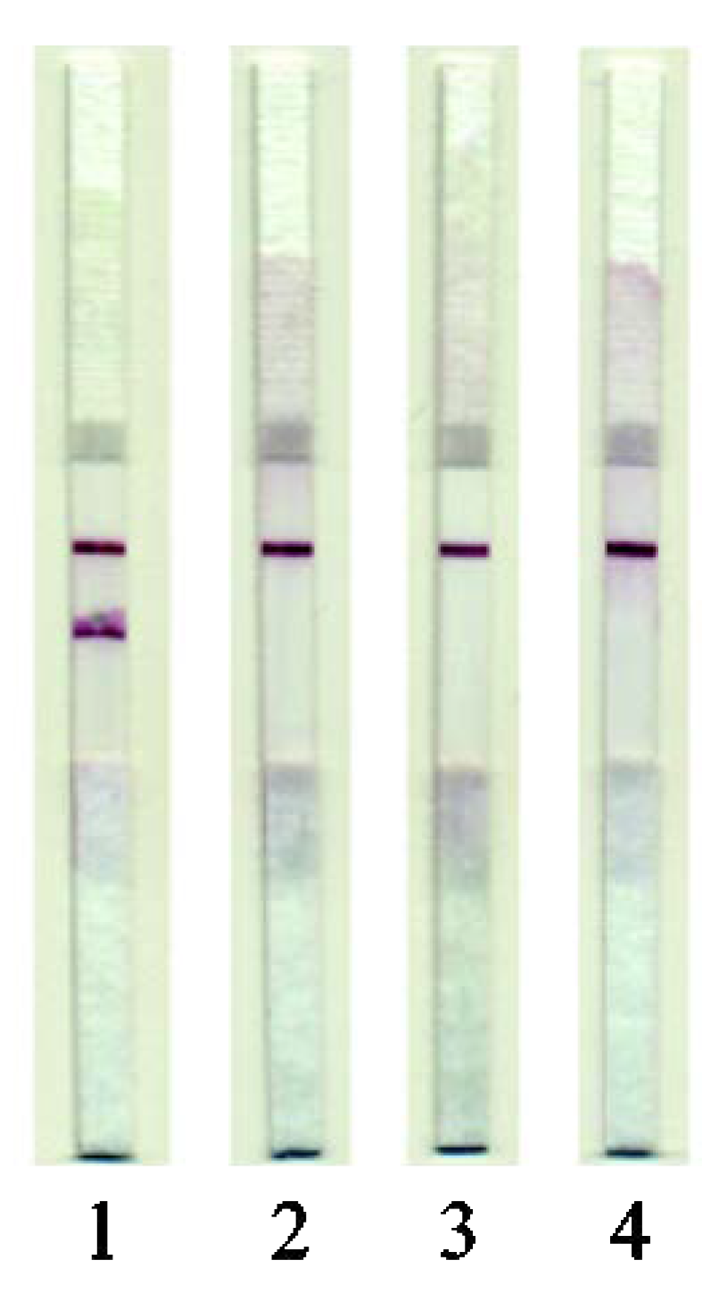 Applsci 10 07437 g004 Applsci 10 07437 g004