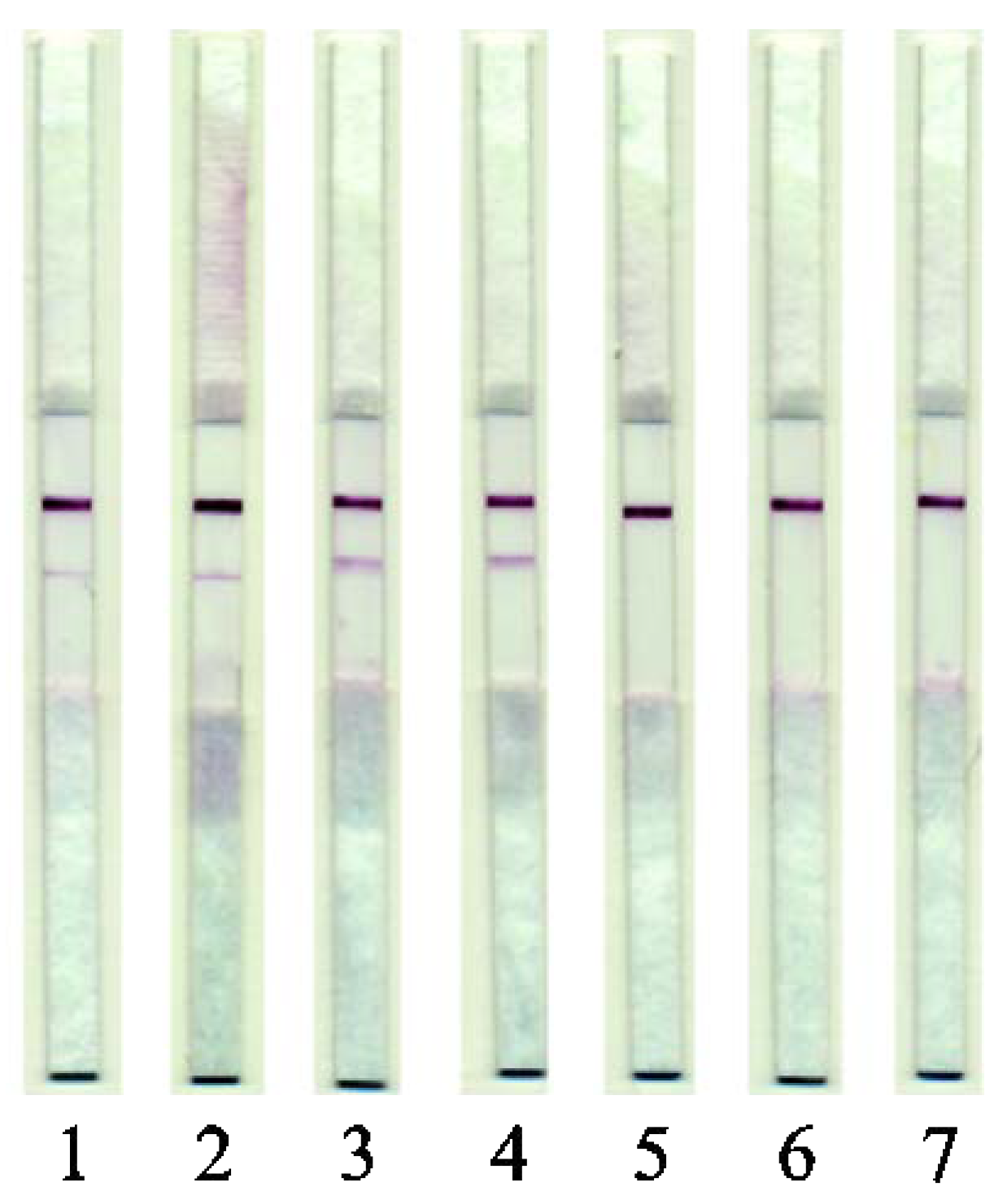 Applsci 10 07437 g006 Applsci 10 07437 g006