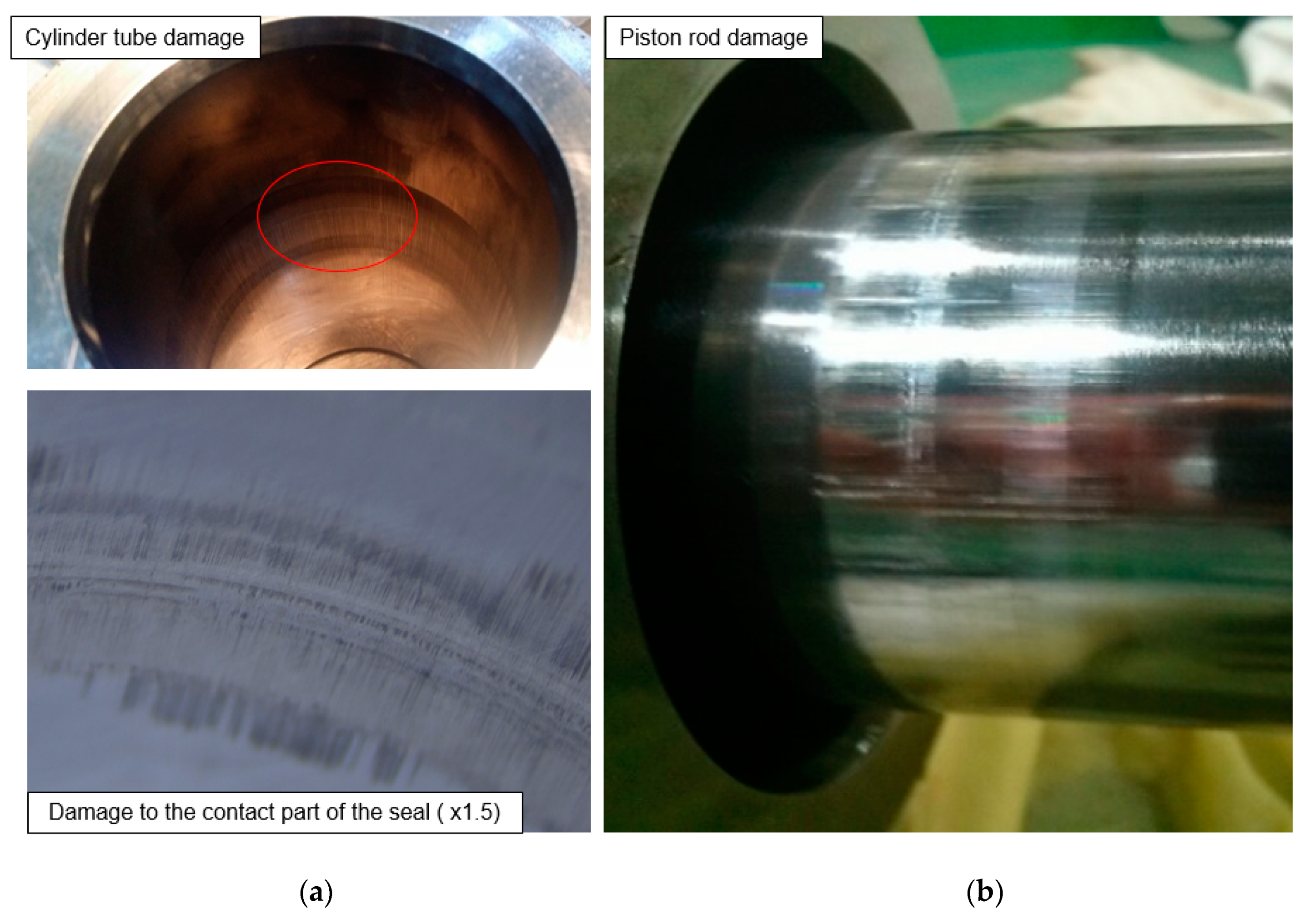 Applsci 10 07451 g003 Applsci 10 07451 g003