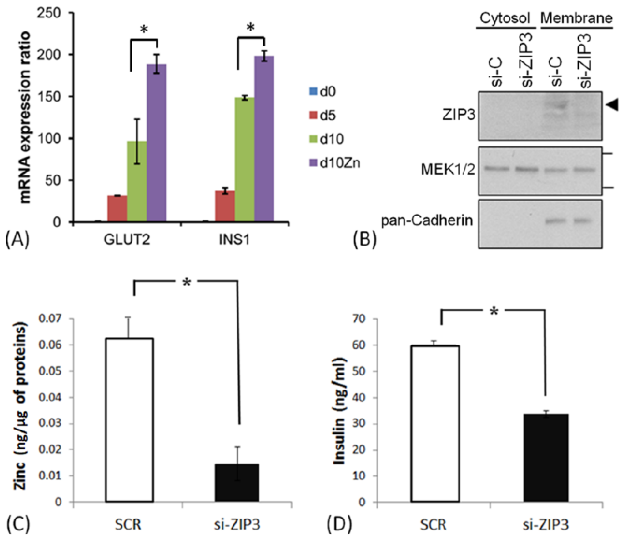 Applsci 10 07476 g003 Applsci 10 07476 g003