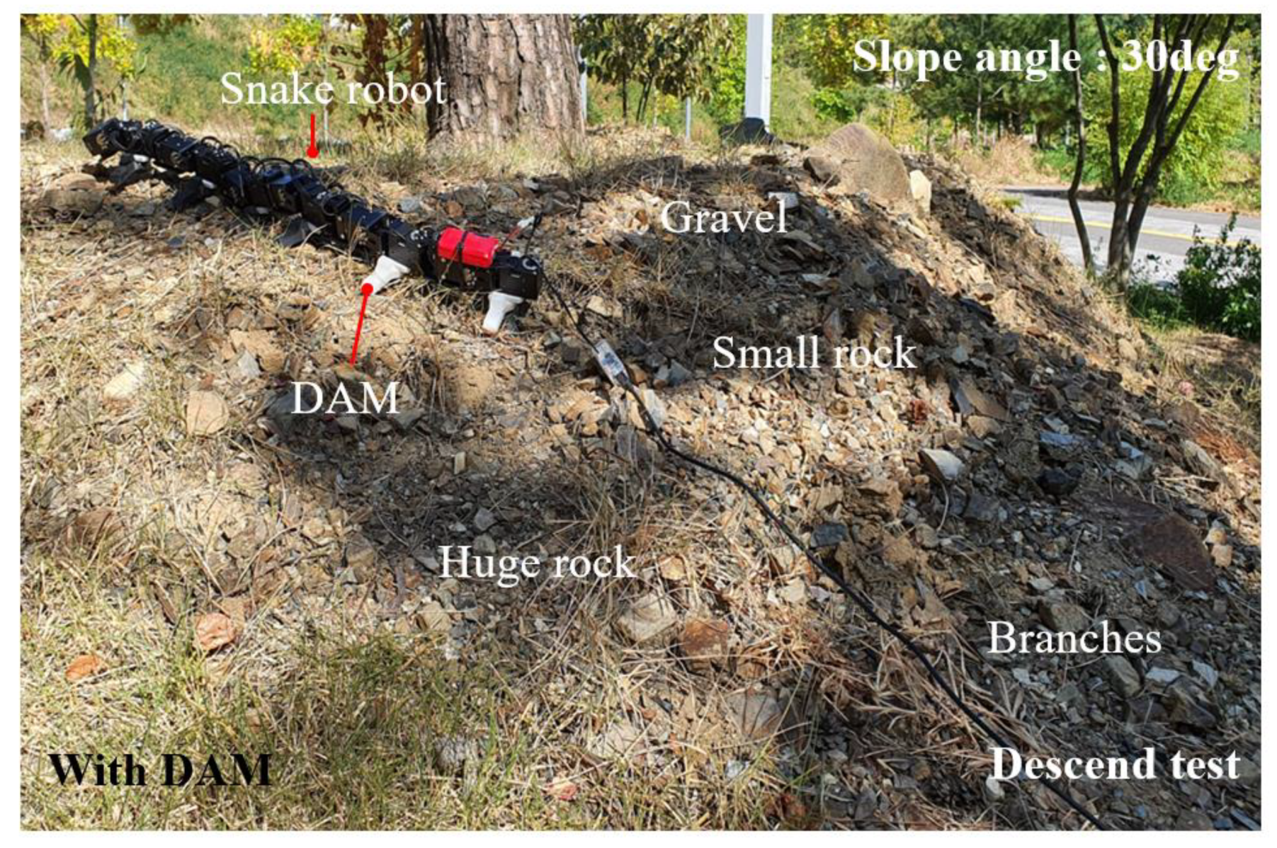 Applsci 10 07478 g013 Applsci 10 07478 g013