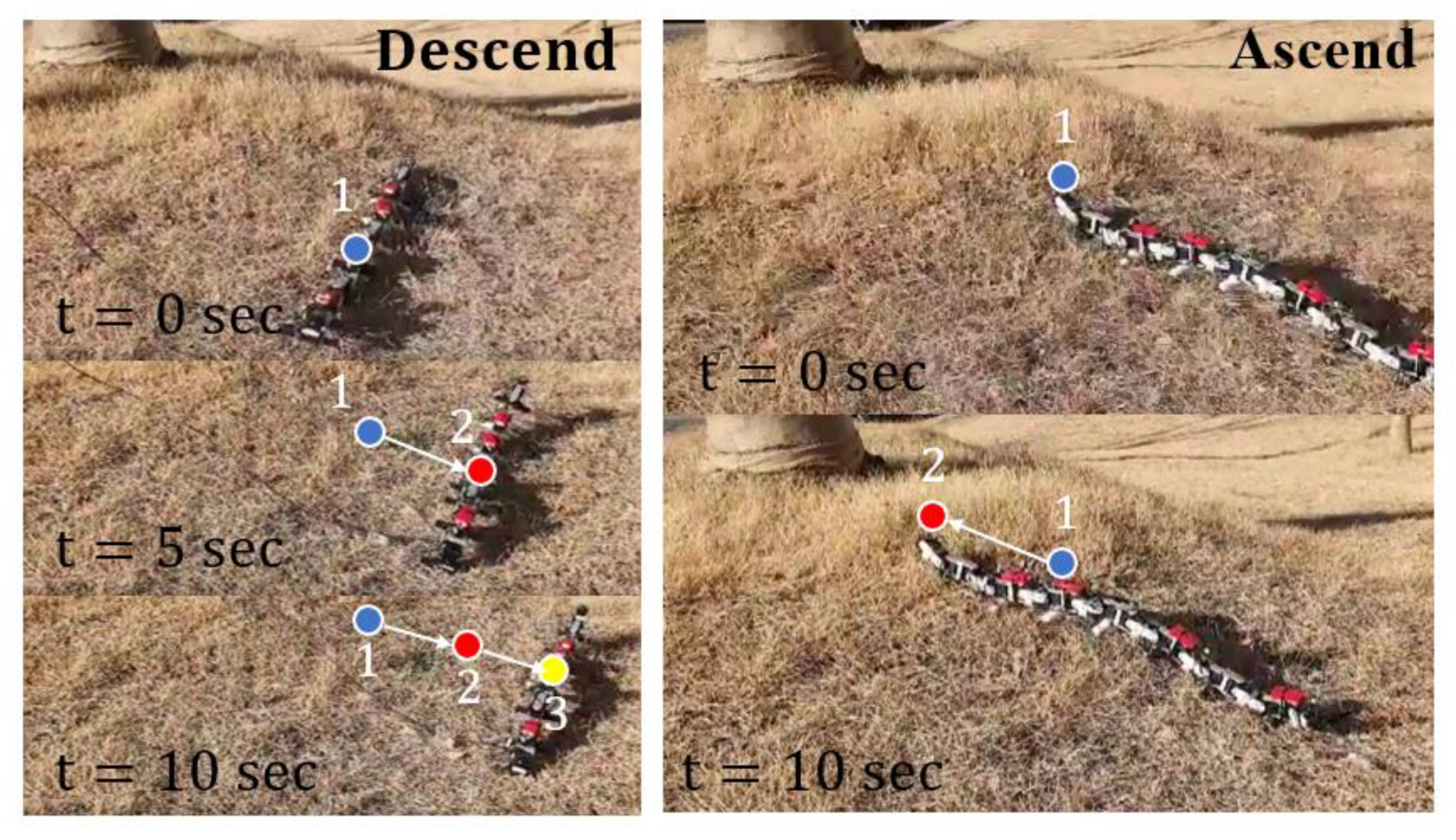 Applsci 10 07478 g018 Applsci 10 07478 g018