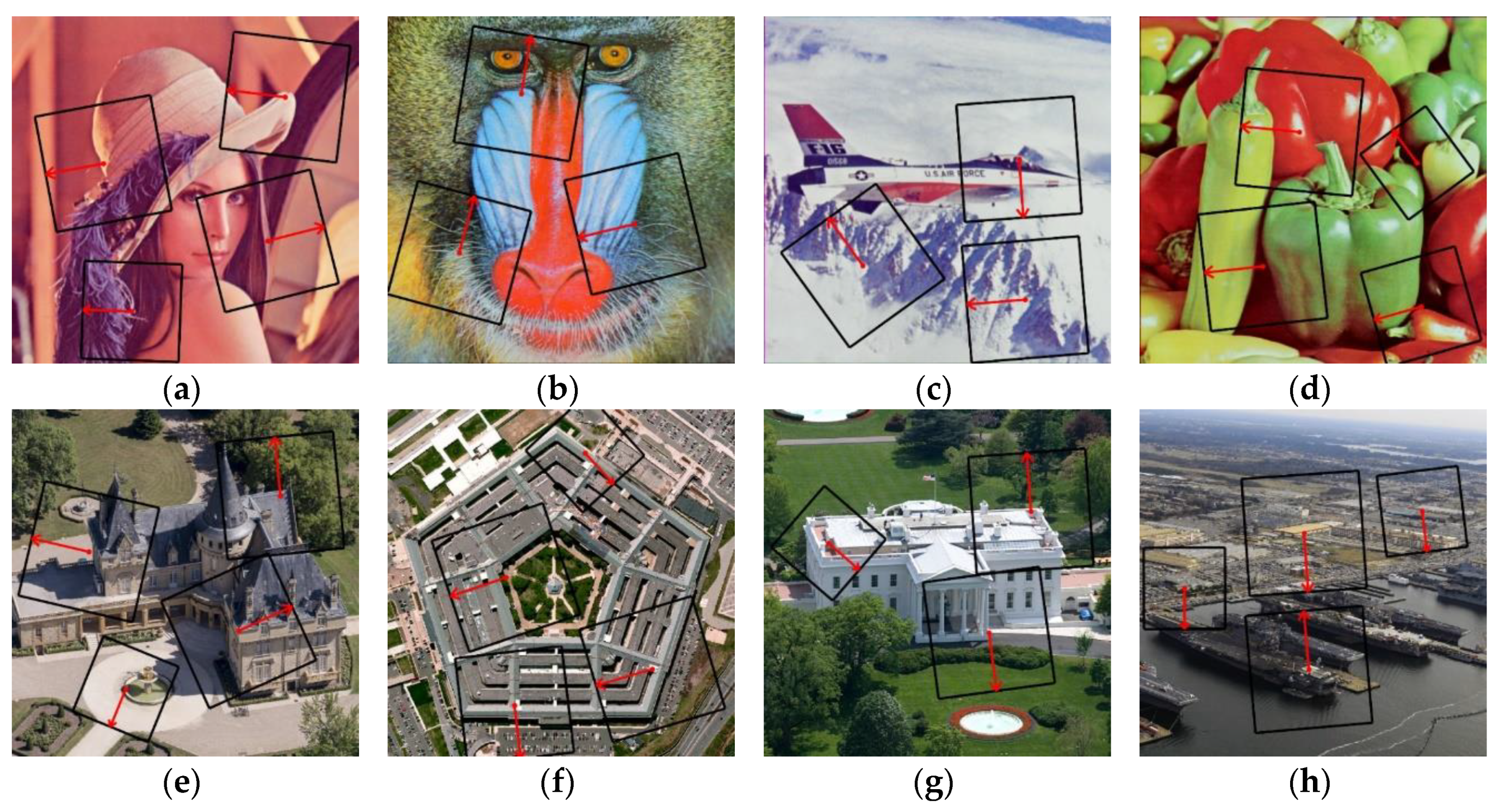 Applsci 10 07494 g005