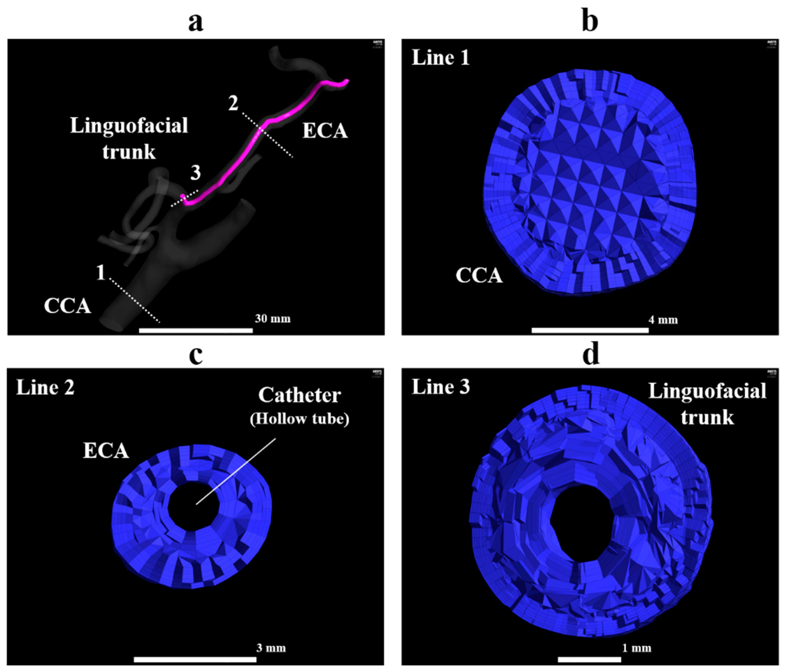 Applsci 10 07496 g004 Applsci 10 07496 g004