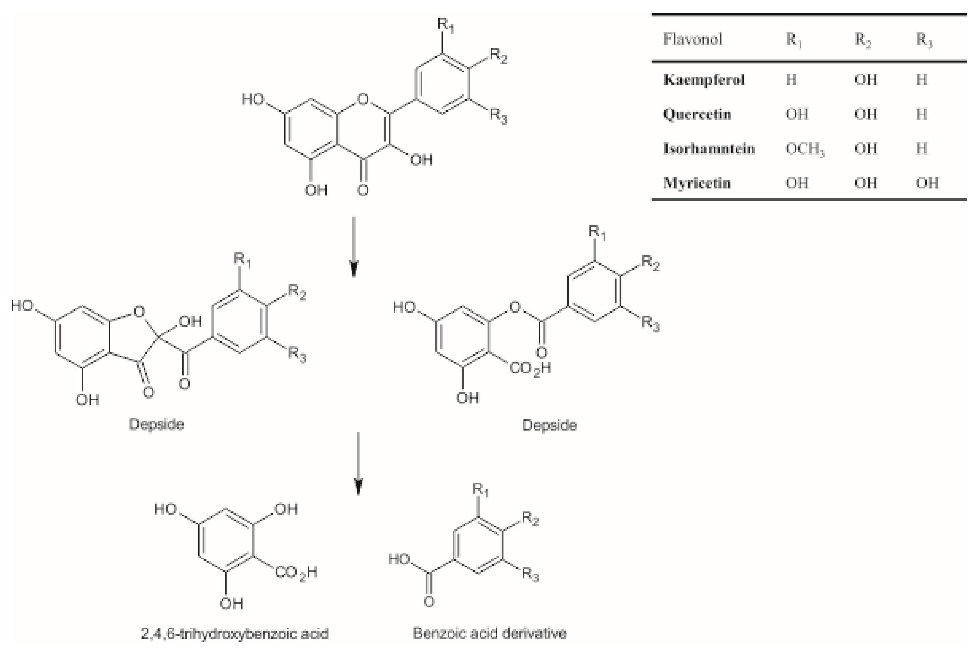 Applsci 10 07511 g005 Applsci 10 07511 g005