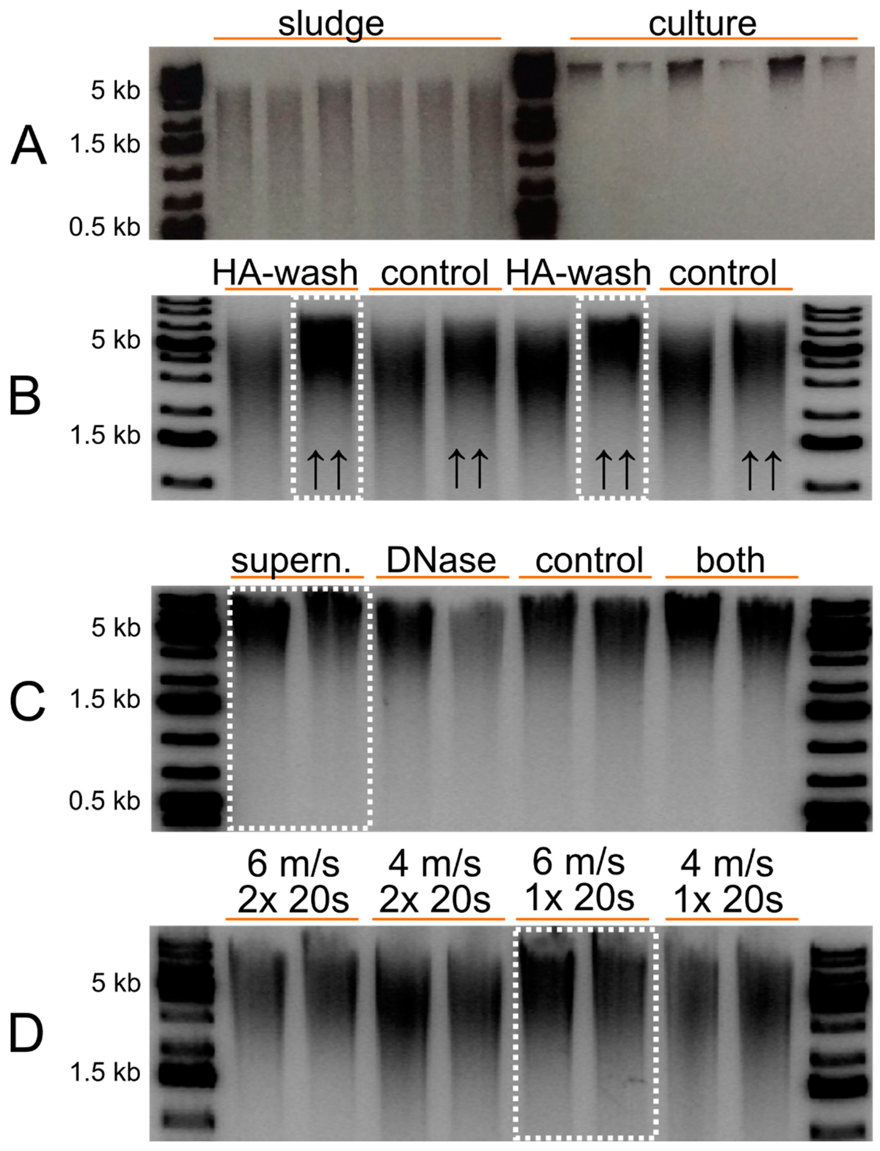 Applsci 10 07518 g001