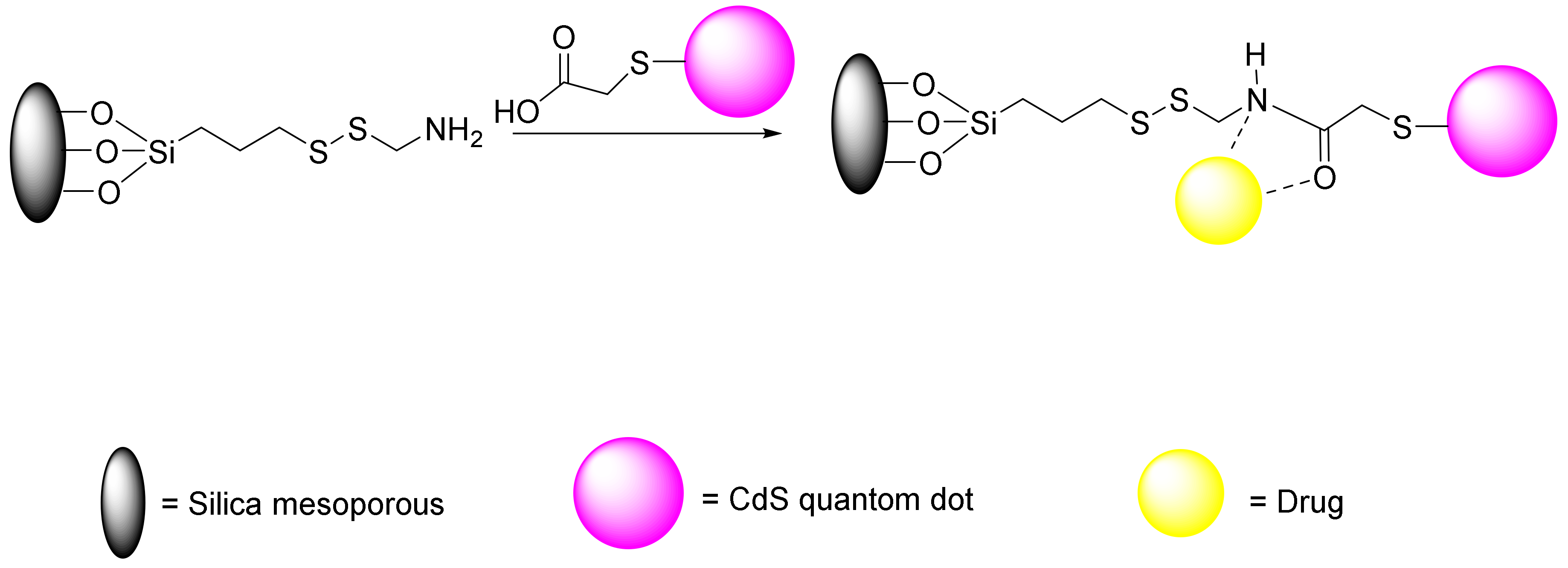 Applsci 10 07533 g017 Applsci 10 07533 g017