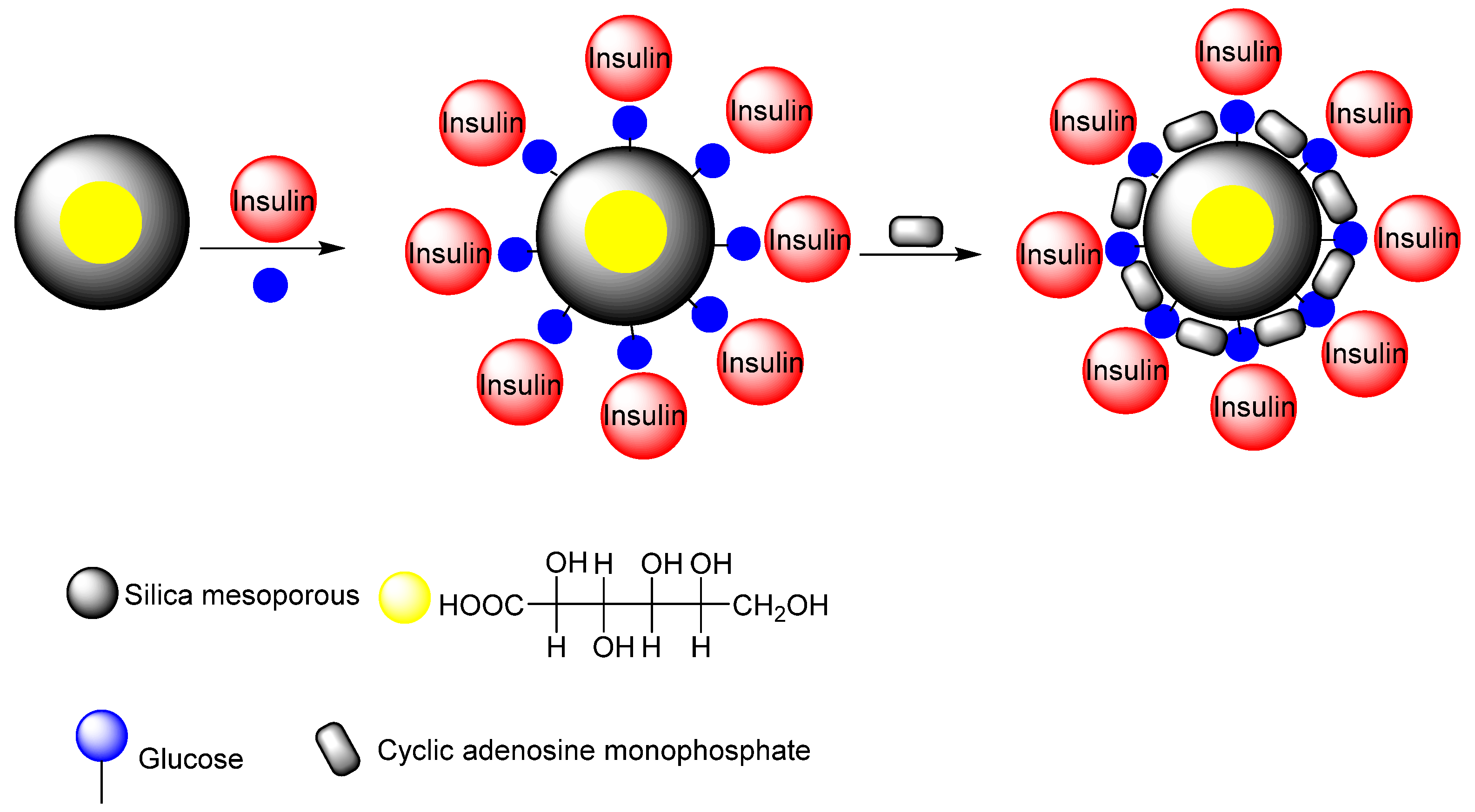 Applsci 10 07533 g019 Applsci 10 07533 g019