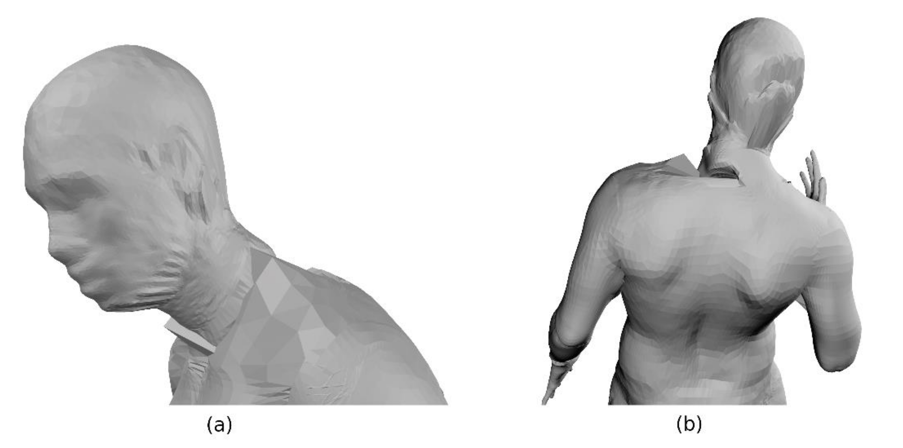 Applied Sciences | Free Full-Text | High-Detail Animation of Human Body  Shape and Pose From High-Resolution 4D Scans Using Iterative Closest Point  and Shape Maps