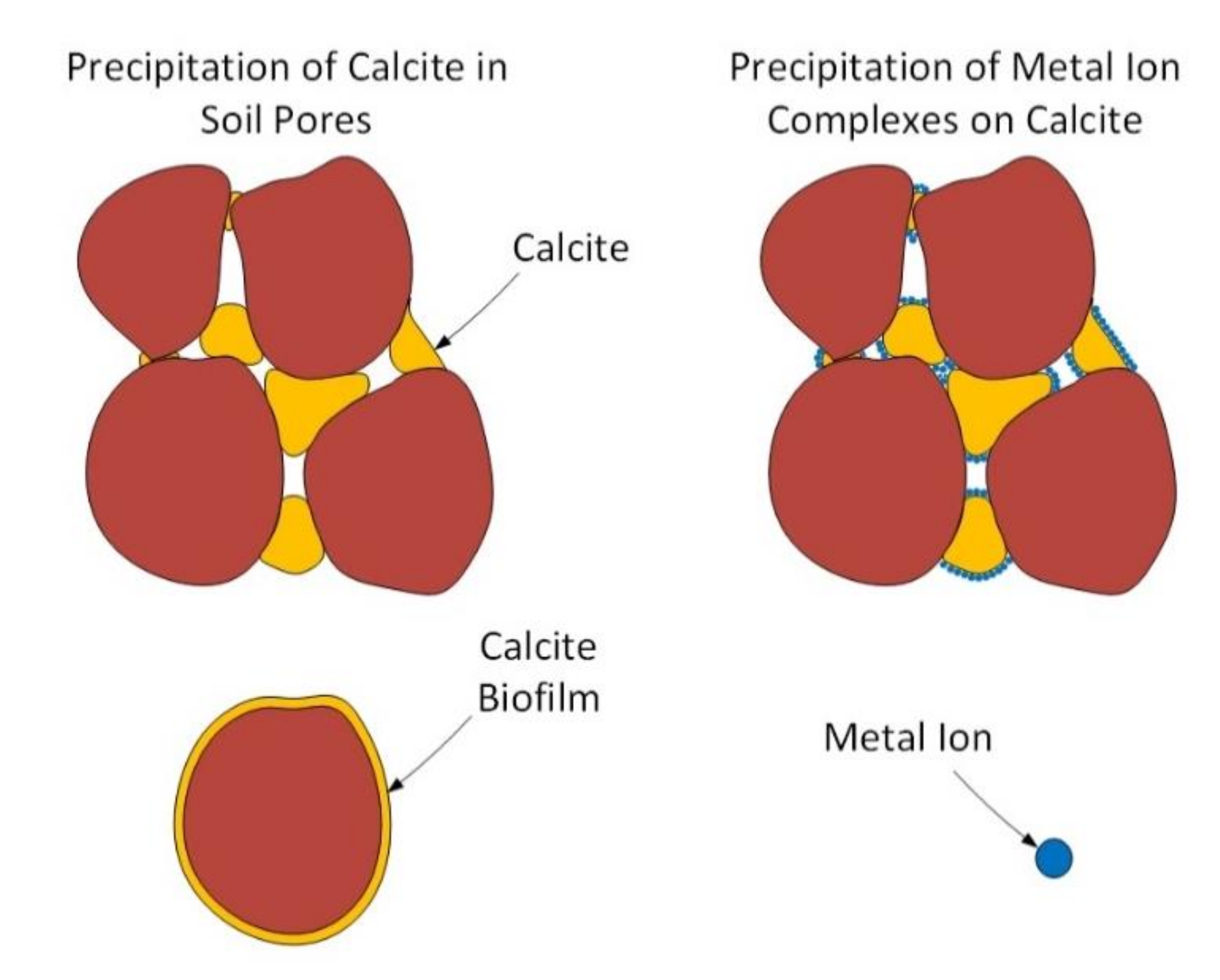 Applsci 10 07568 g005