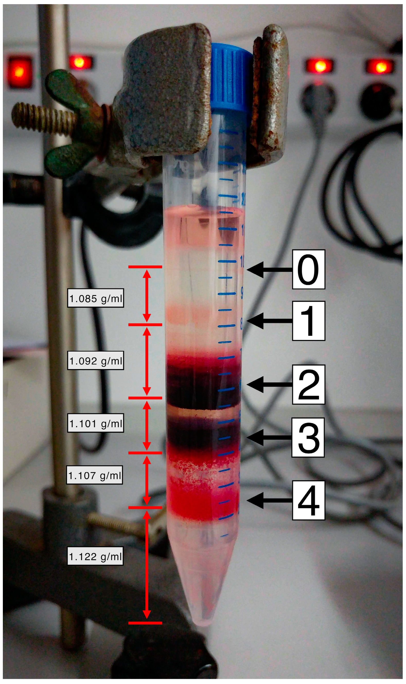 Applsci 10 07581 g001 Applsci 10 07581 g001