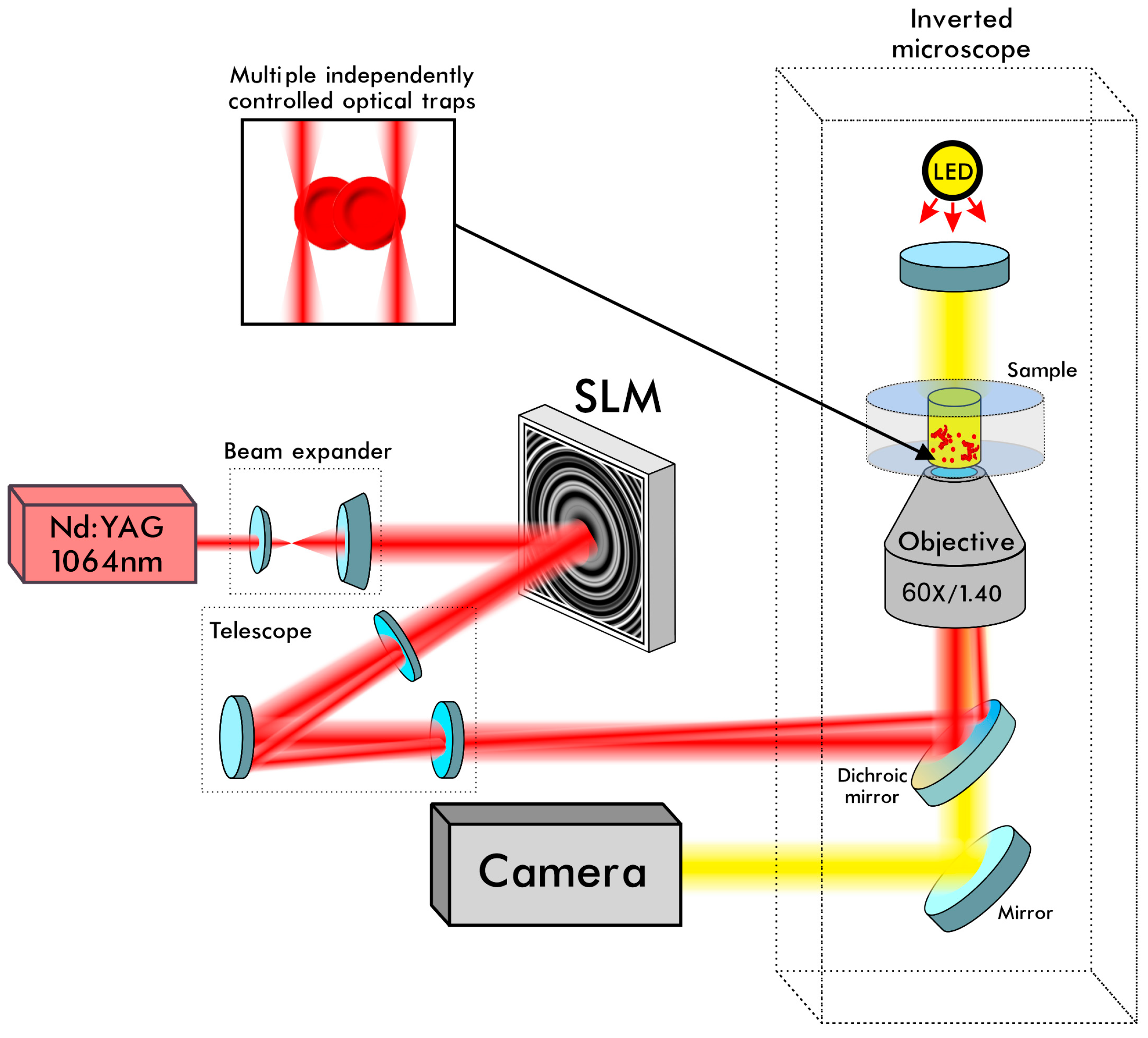 Applsci 10 07581 g002 Applsci 10 07581 g002