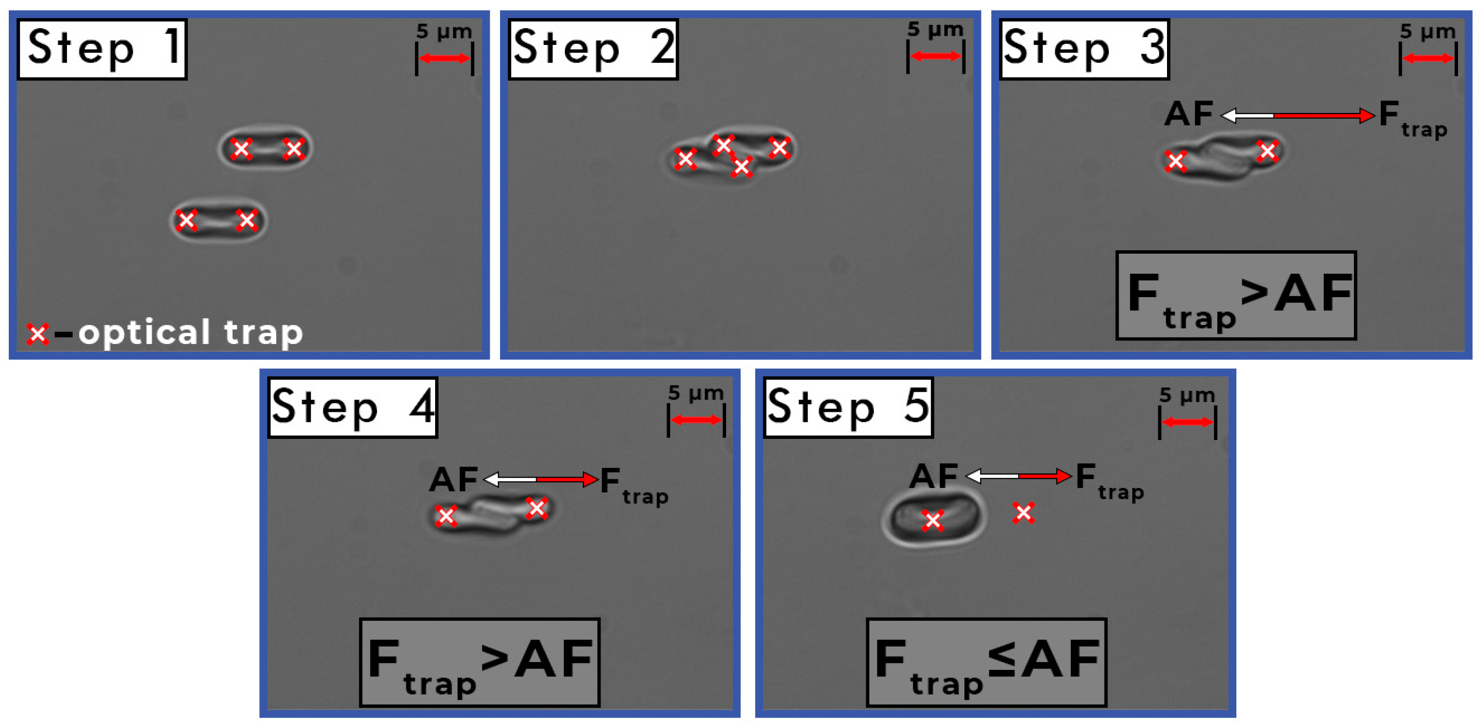 Applsci 10 07581 g003 Applsci 10 07581 g003