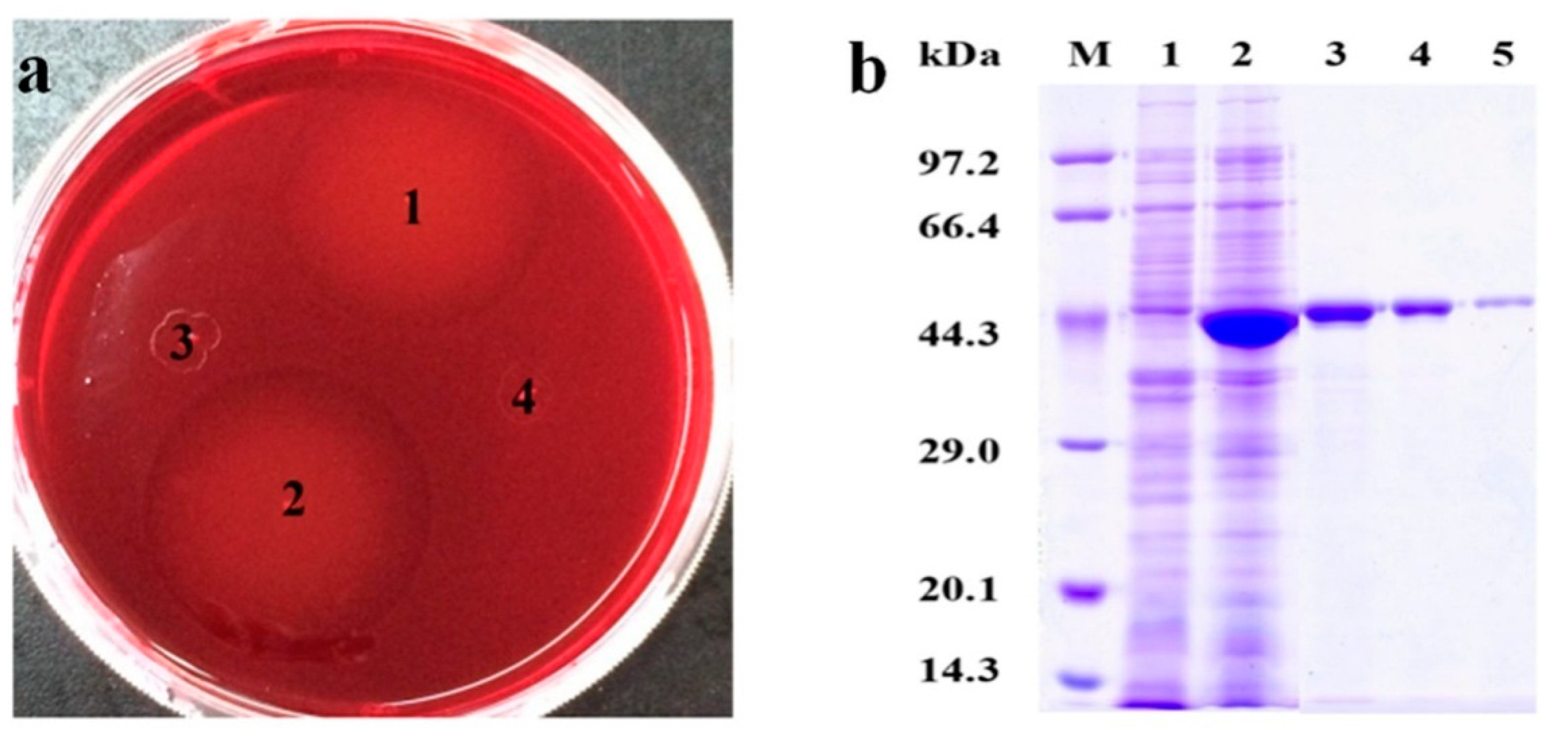 Applsci 10 07584 g005 Applsci 10 07584 g005