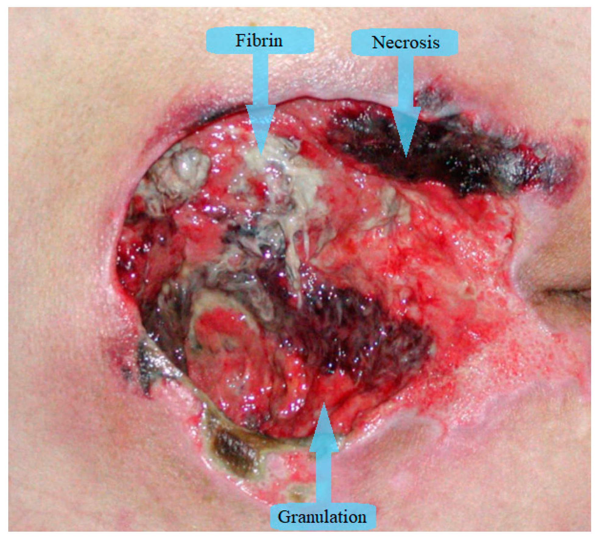 Applsci 10 07613 g001 Applsci 10 07613 g001