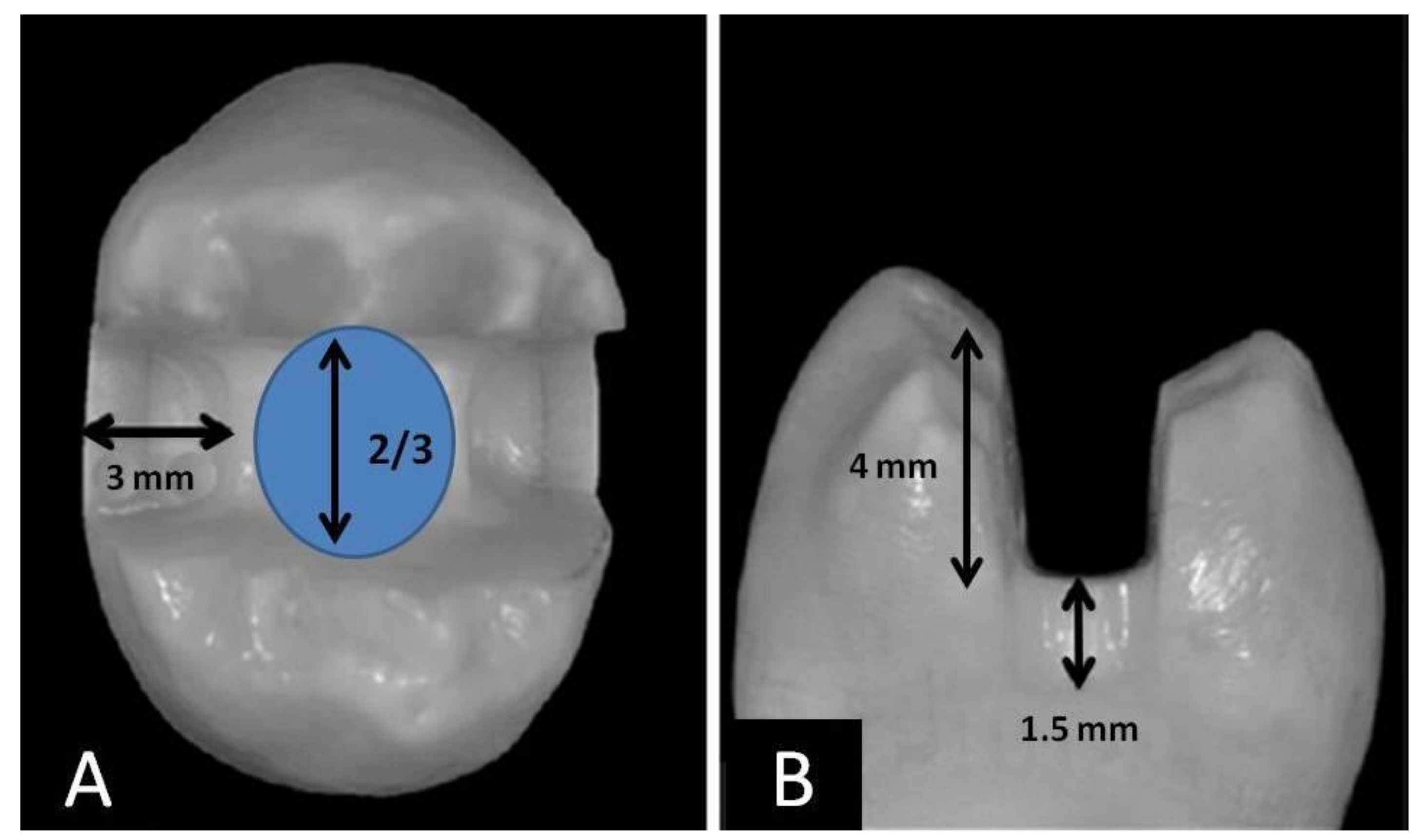 Applsci 10 07616 g002 Applsci 10 07616 g002
