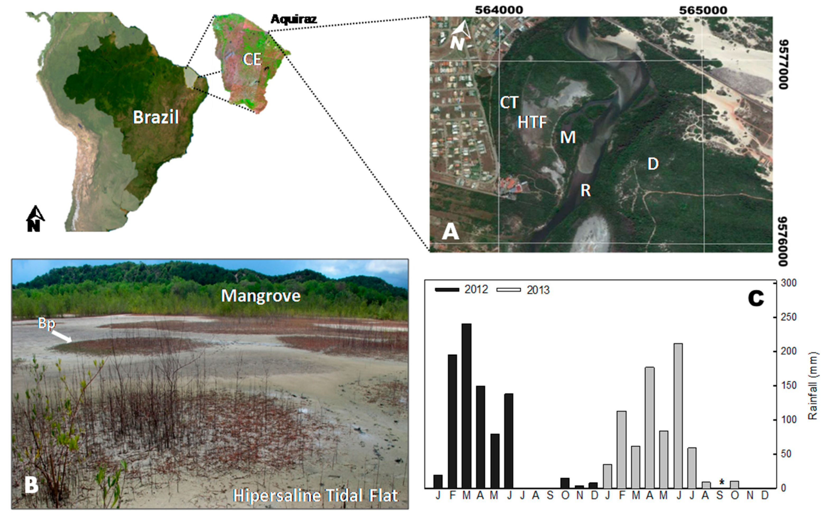 Applied Sciences Free Full Text How Do Plants And Climatic Conditions Control Soil Properties In Hypersaline Tidal Flats Html