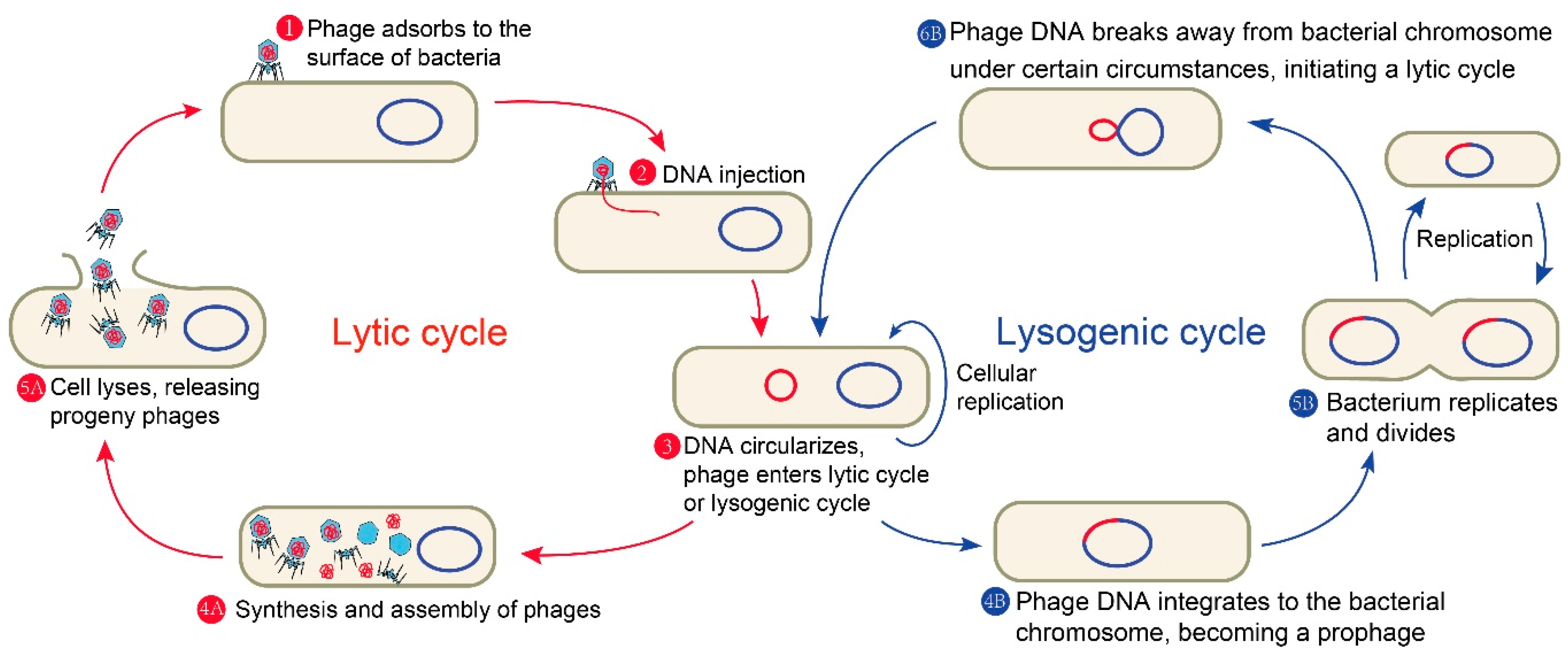 Applsci 10 07654 g001