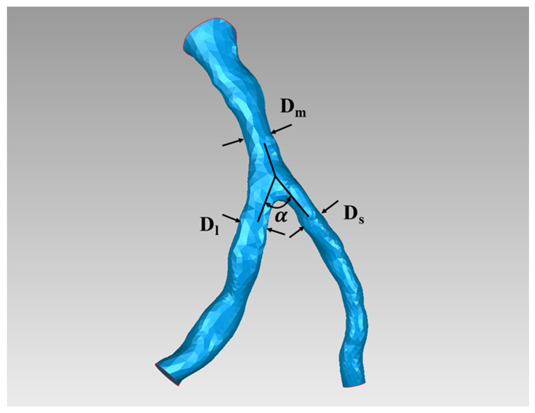 Applsci 10 07656 g001