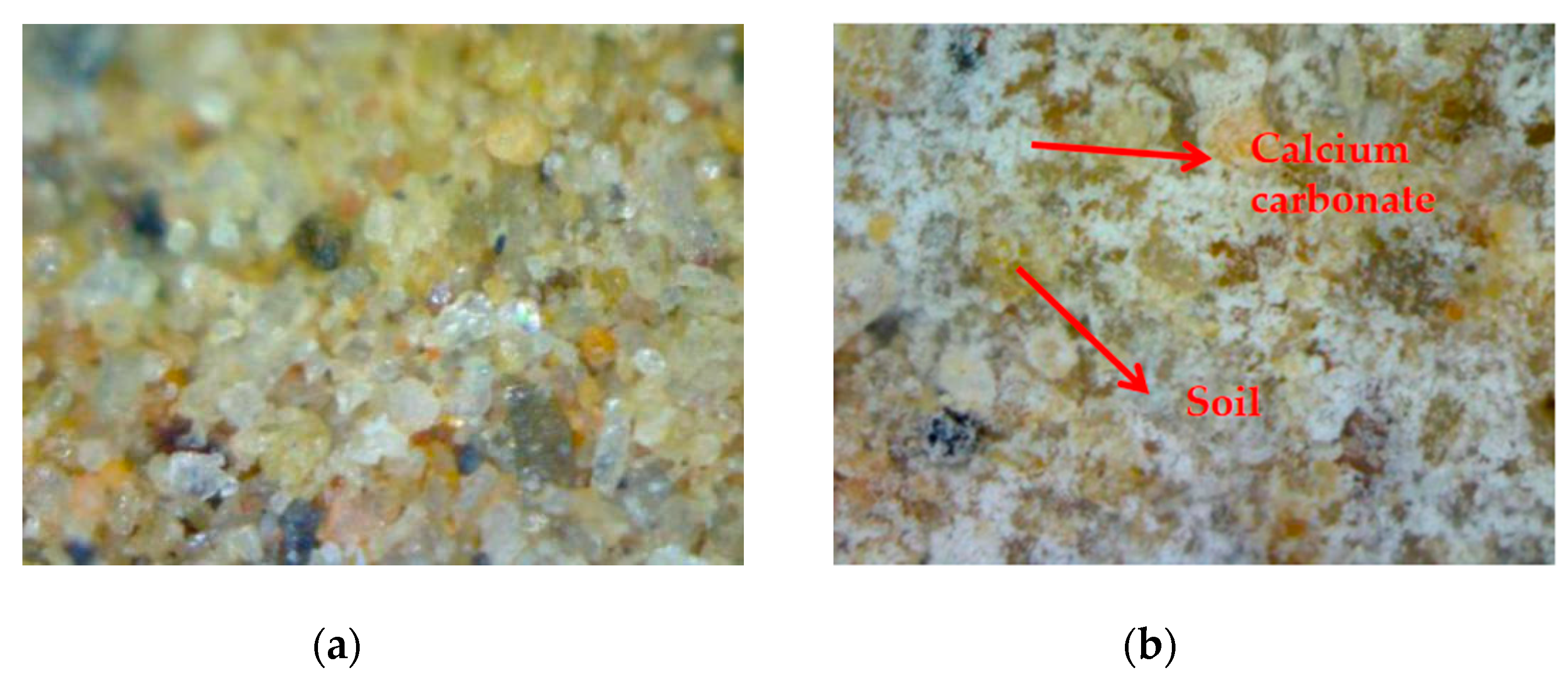 Applsci 10 07678 g011