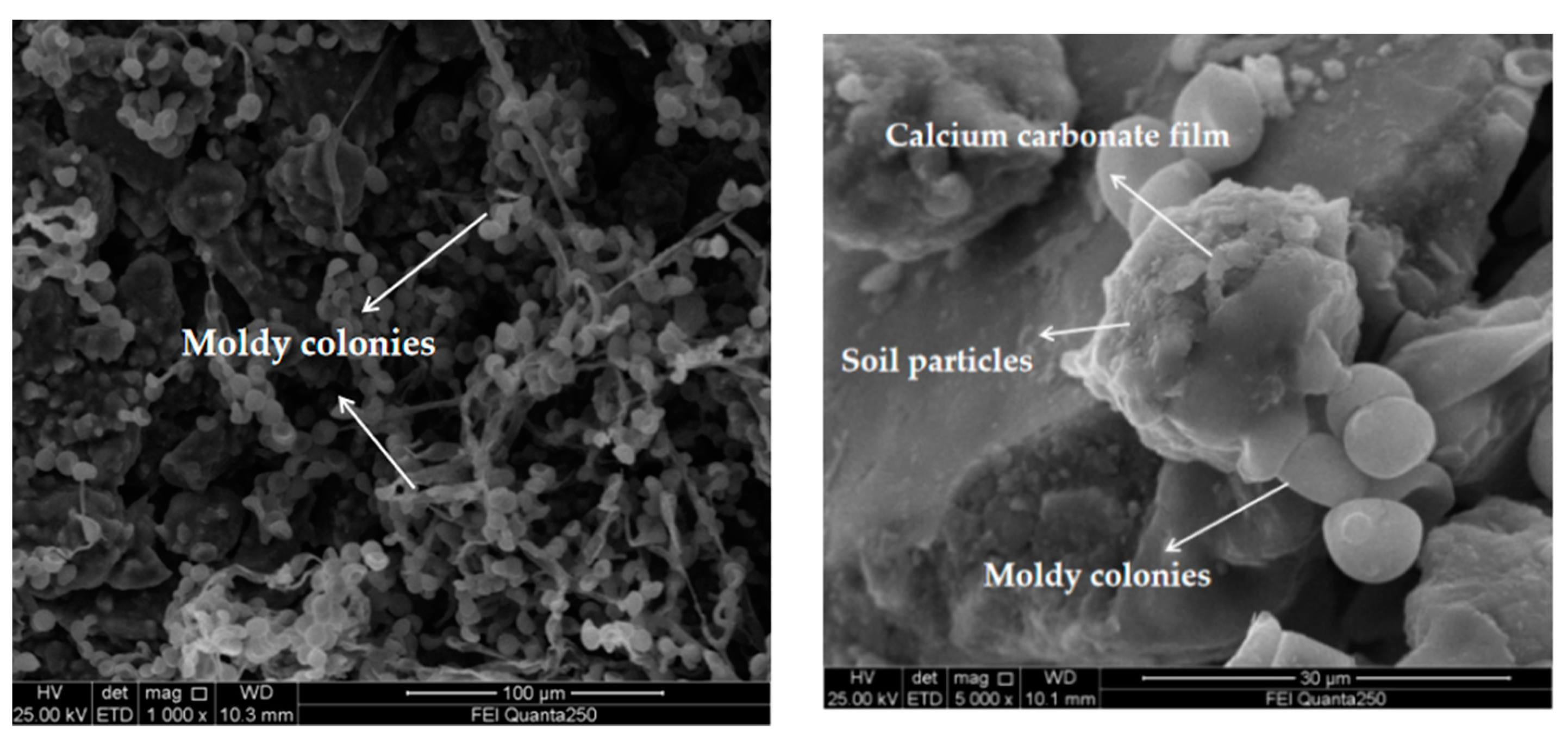 Applsci 10 07678 g013