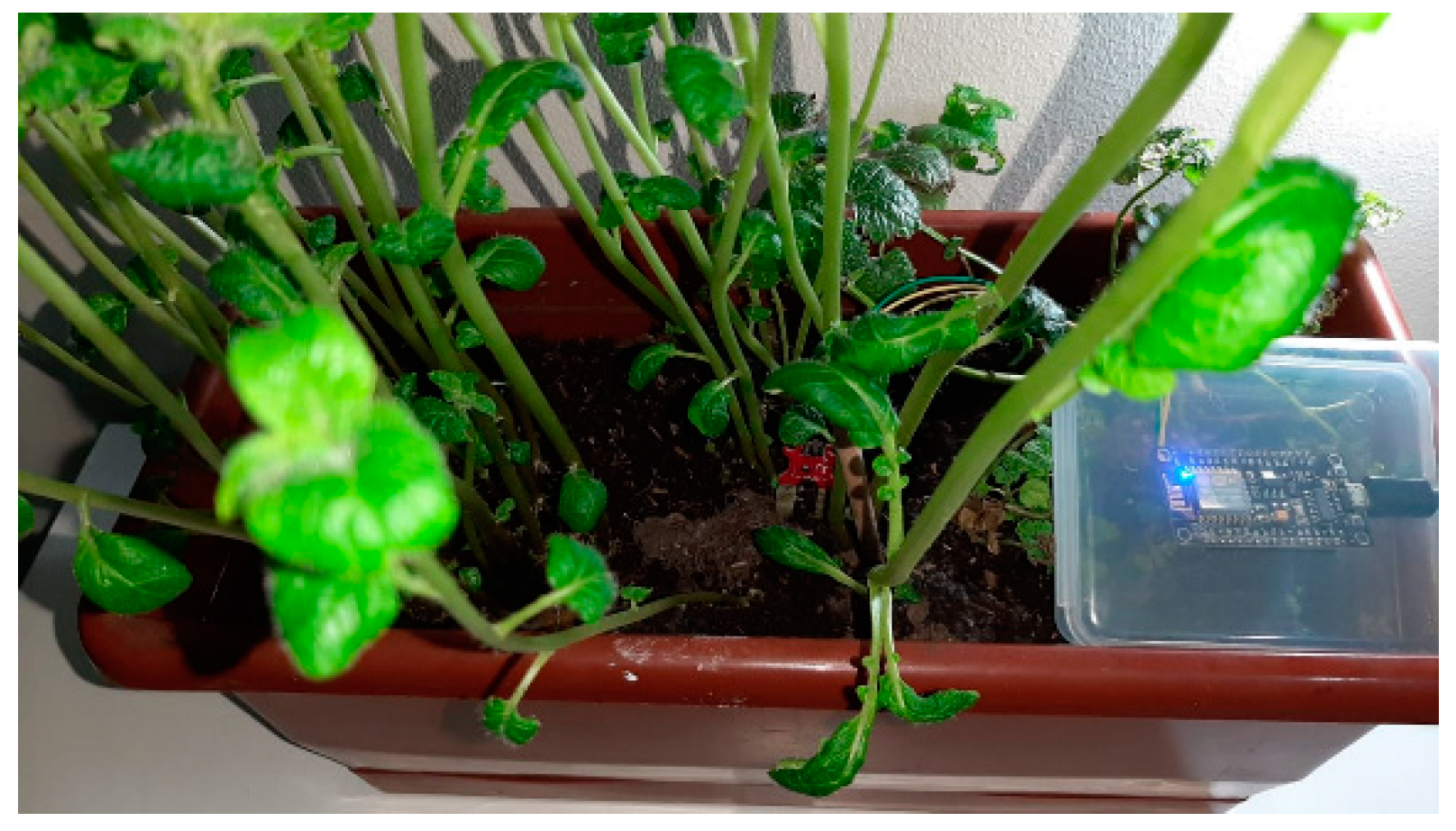 Applsci 10 07702 g003