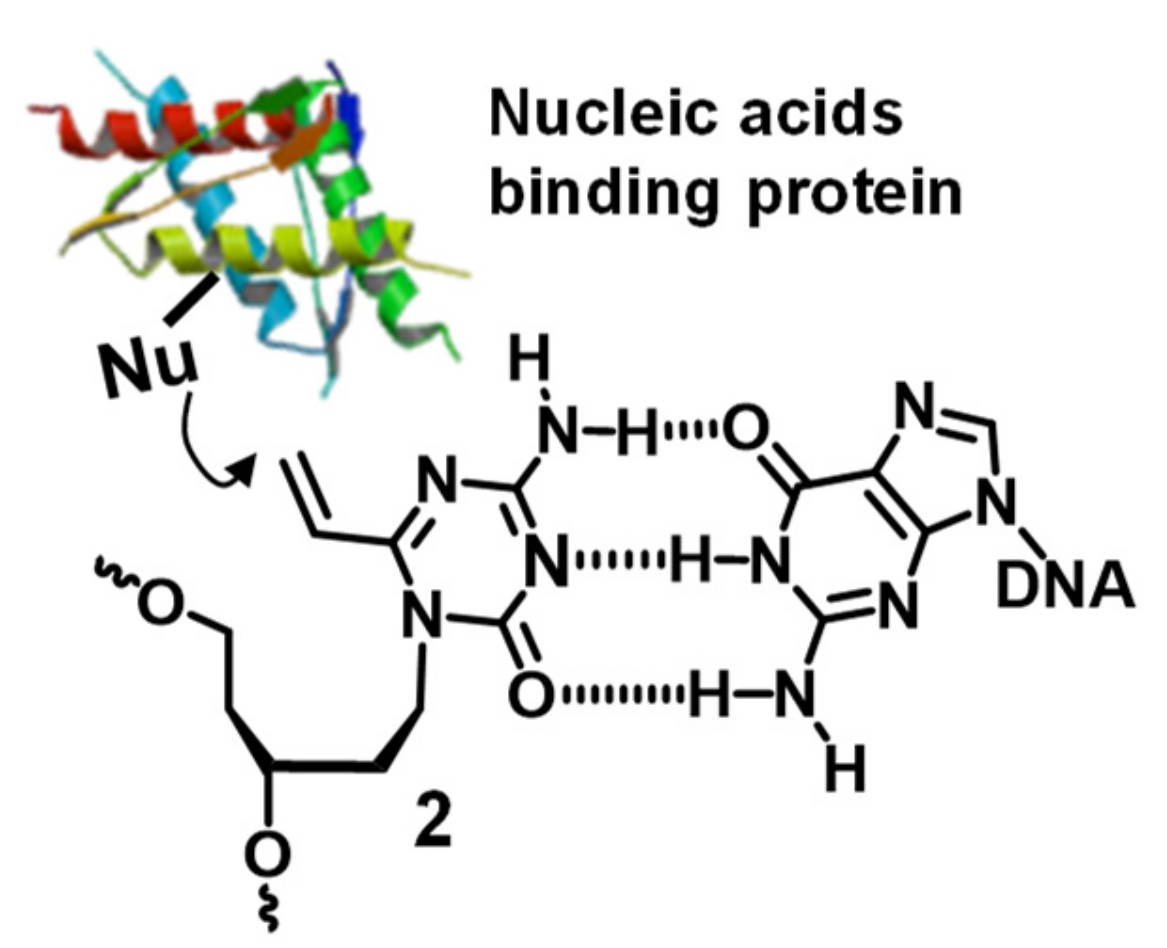 Applsci 10 07709 g002 Applsci 10 07709 g002