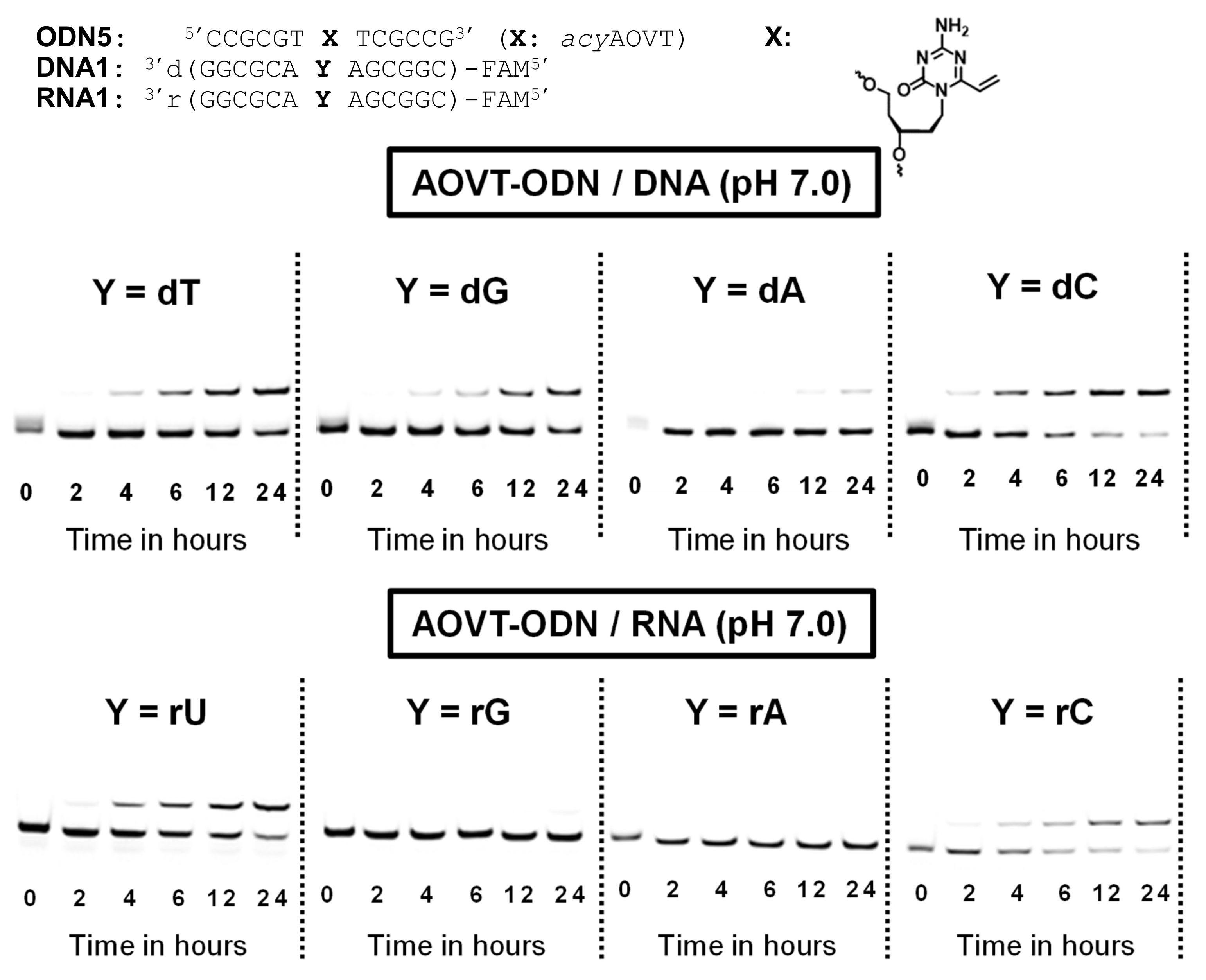 Applsci 10 07709 g003 Applsci 10 07709 g003