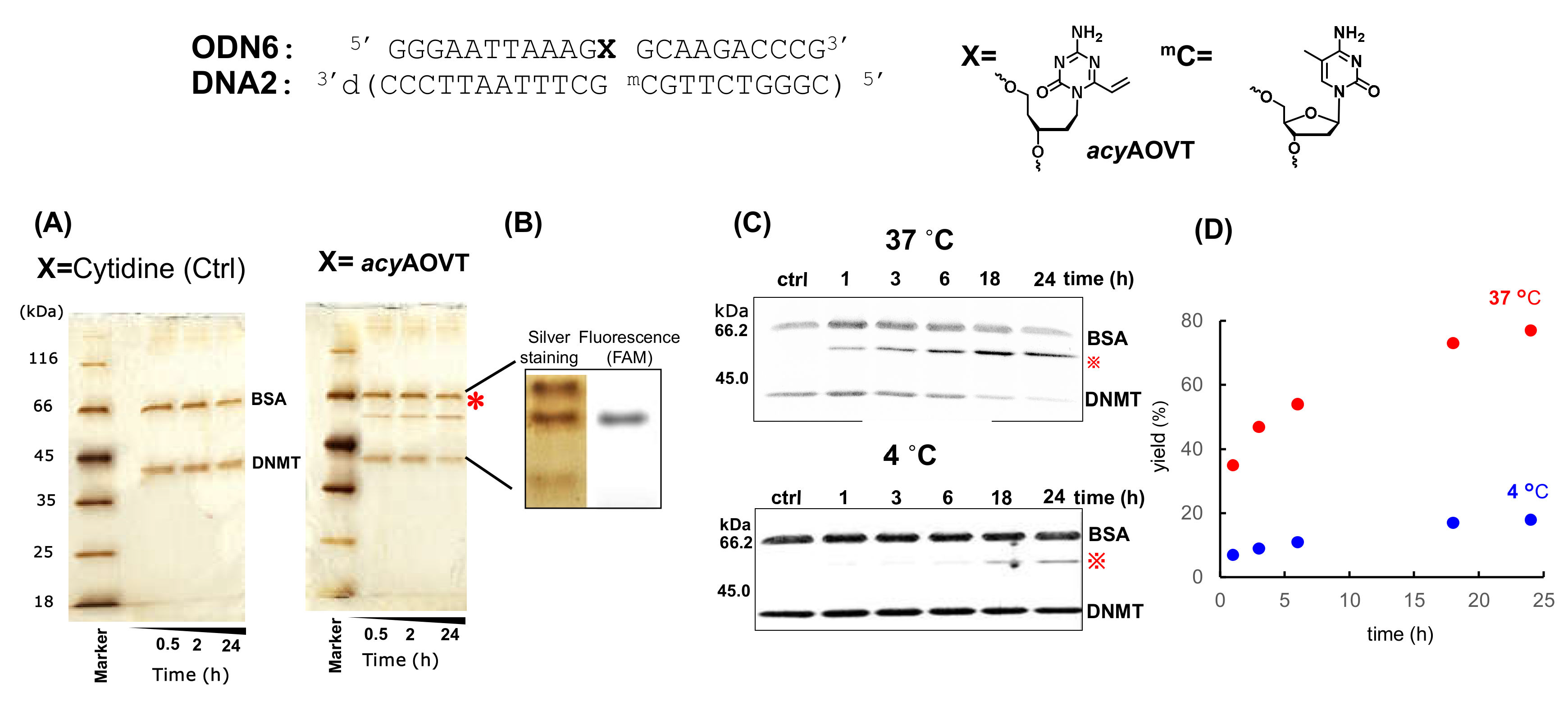 Applsci 10 07709 g007 Applsci 10 07709 g007
