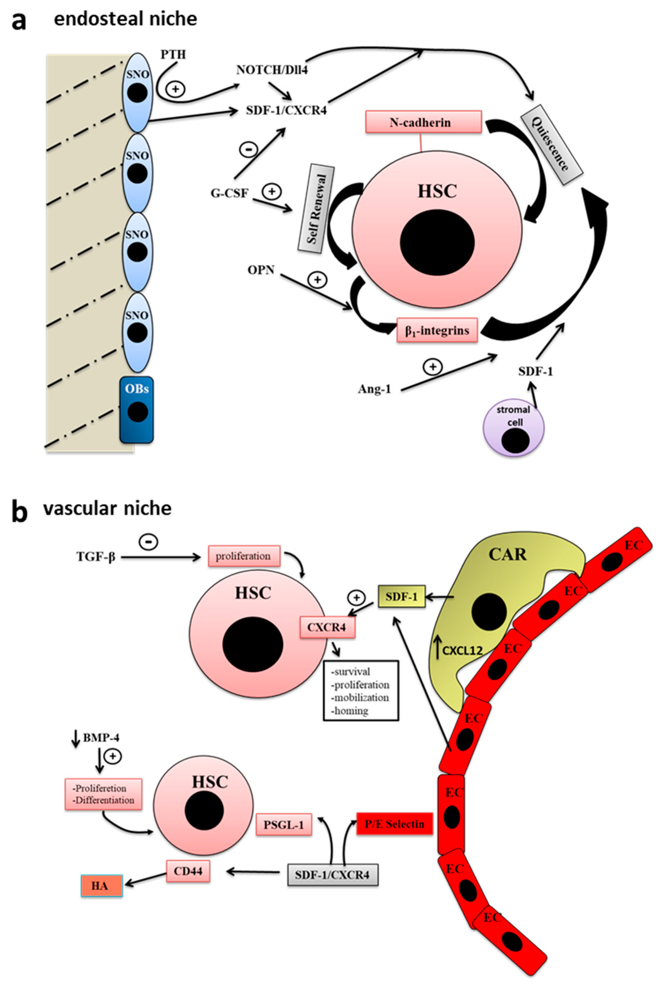 Applsci 10 07713 g001 Applsci 10 07713 g001