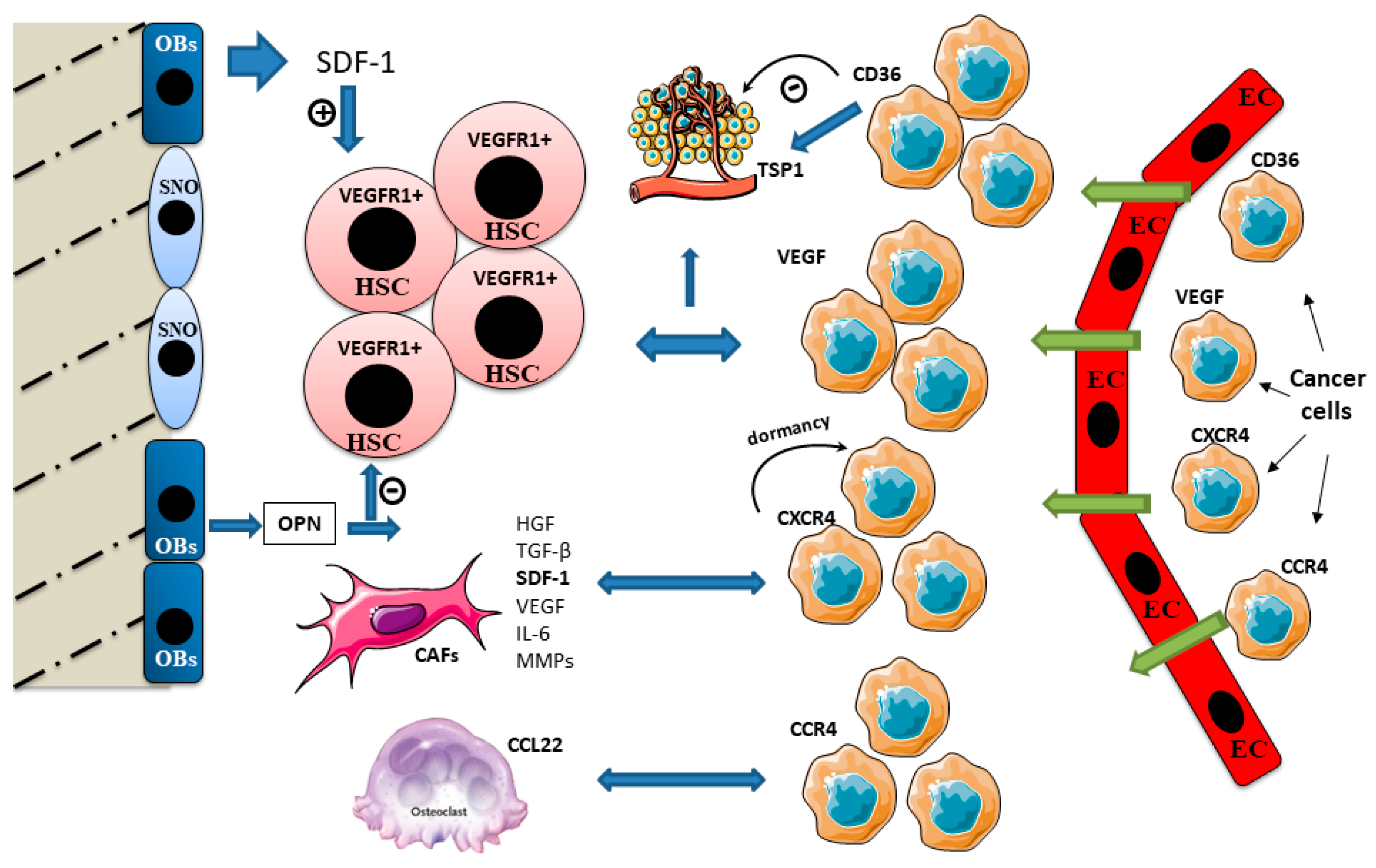 Applsci 10 07713 g002 Applsci 10 07713 g002