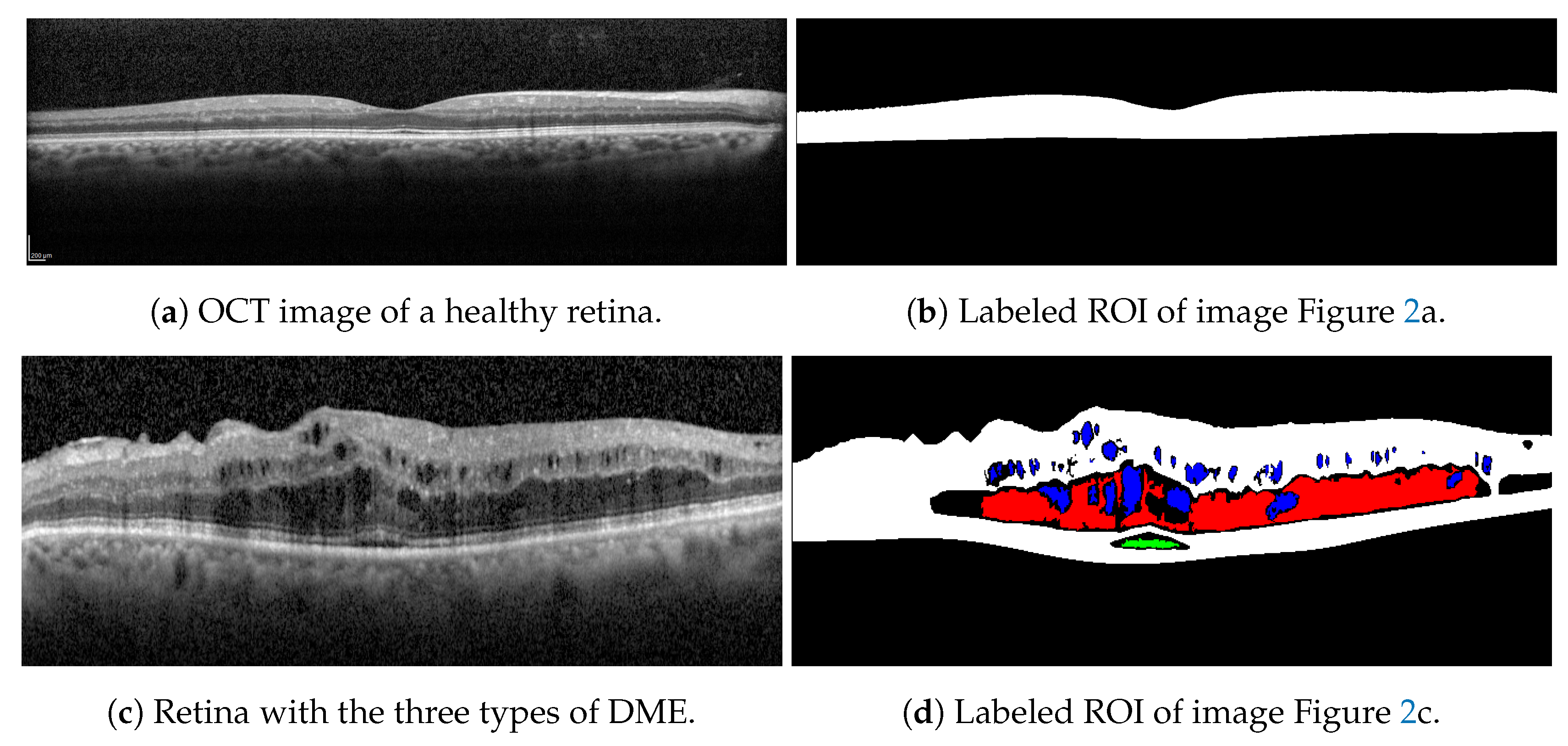 Applsci 10 07718 g002