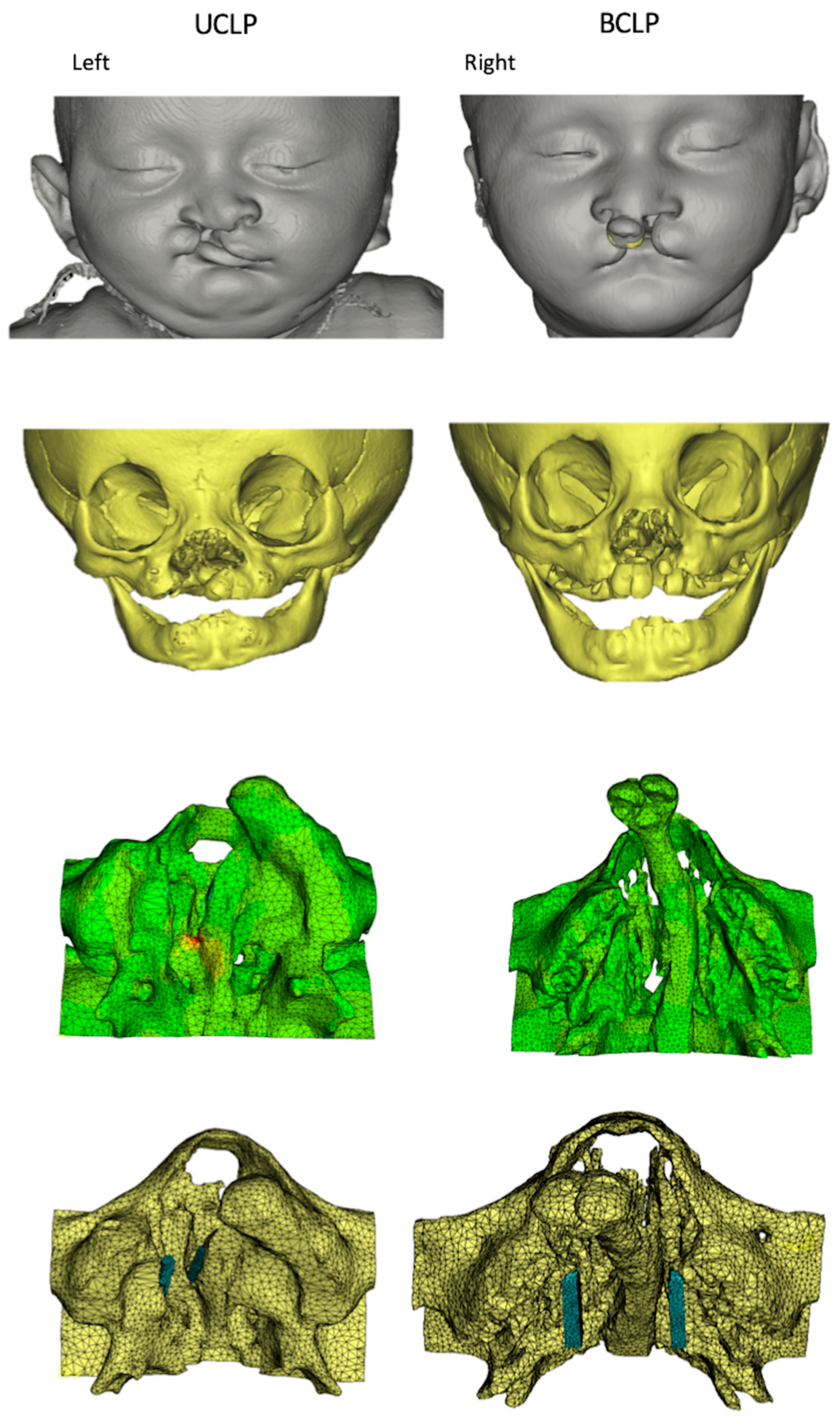 Applsci 10 07728 g001
