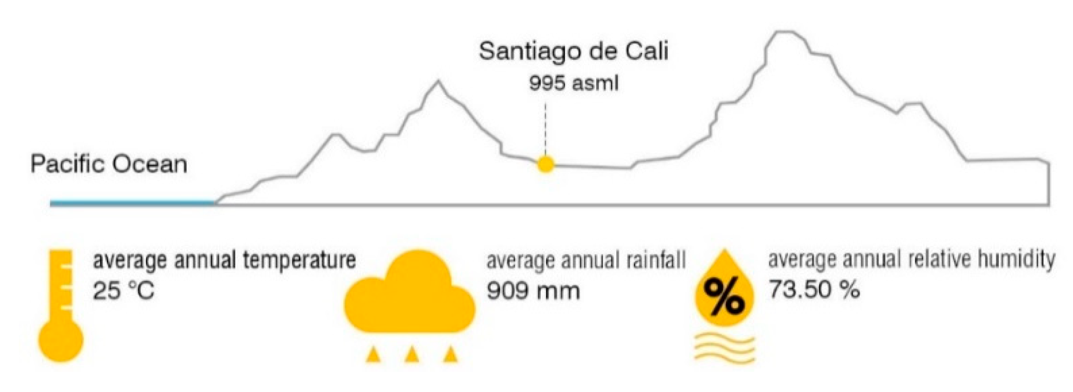 Applsci 10 07734 g004