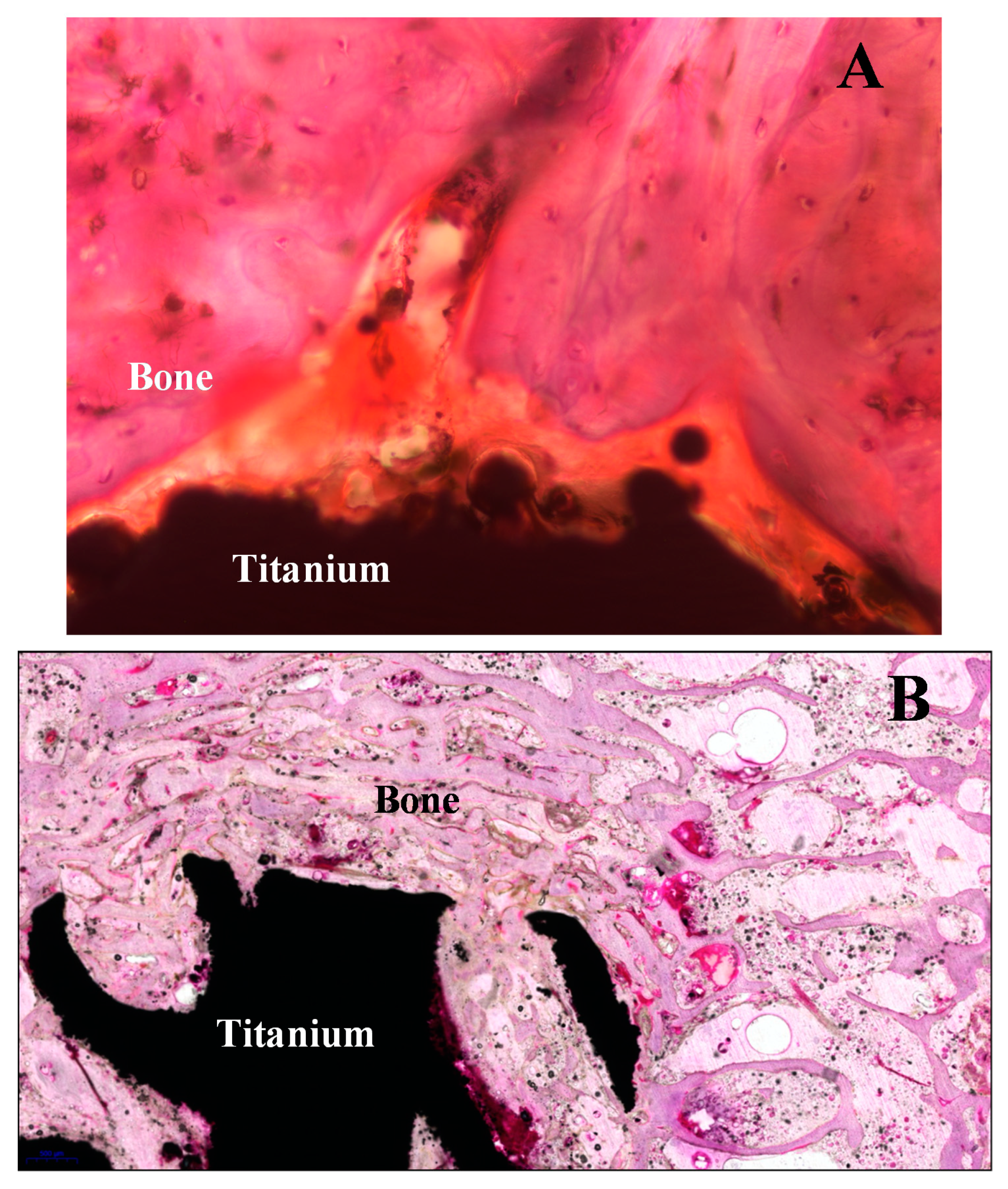 Applsci 10 07742 g010