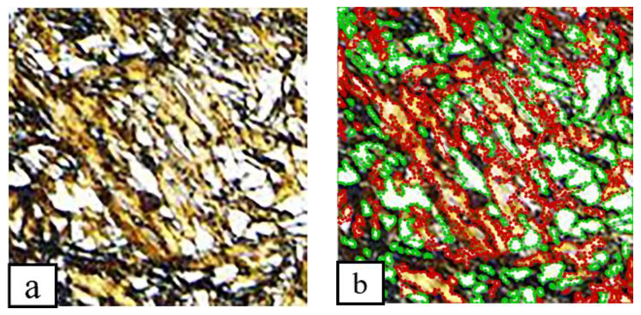 Applsci 10 07759 g003 Applsci 10 07759 g003