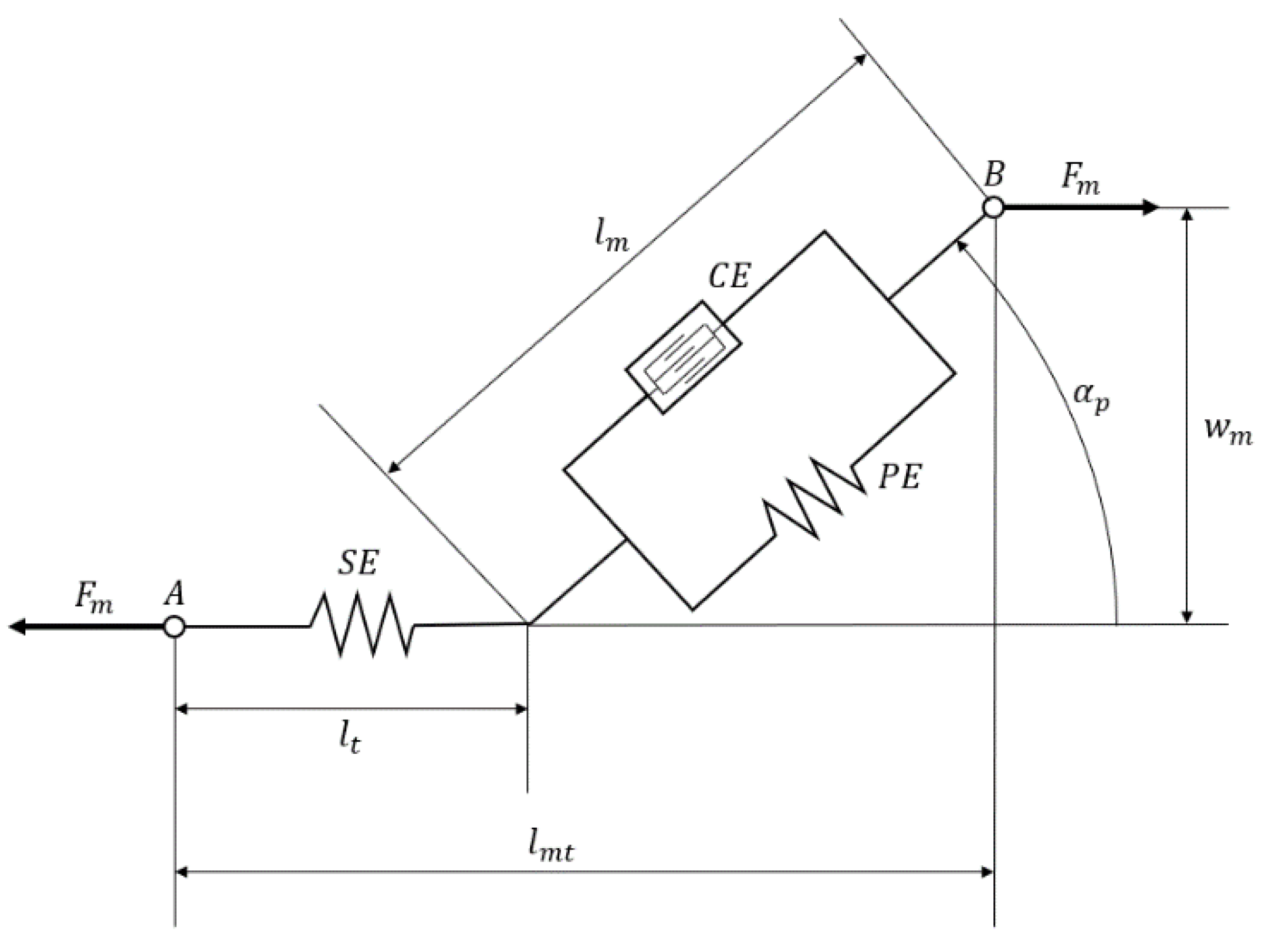 Applsci 10 07760 g003 Applsci 10 07760 g003