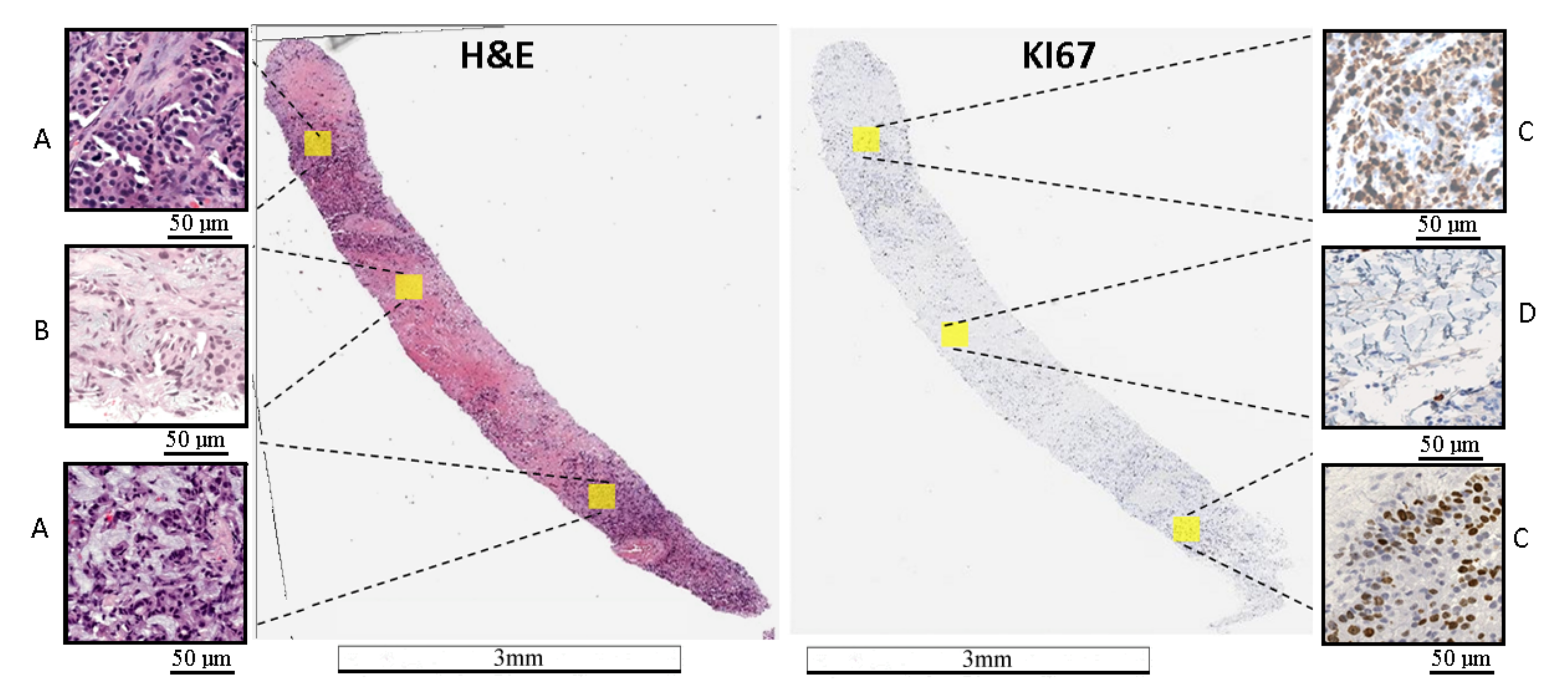 Applsci 10 07761 g001