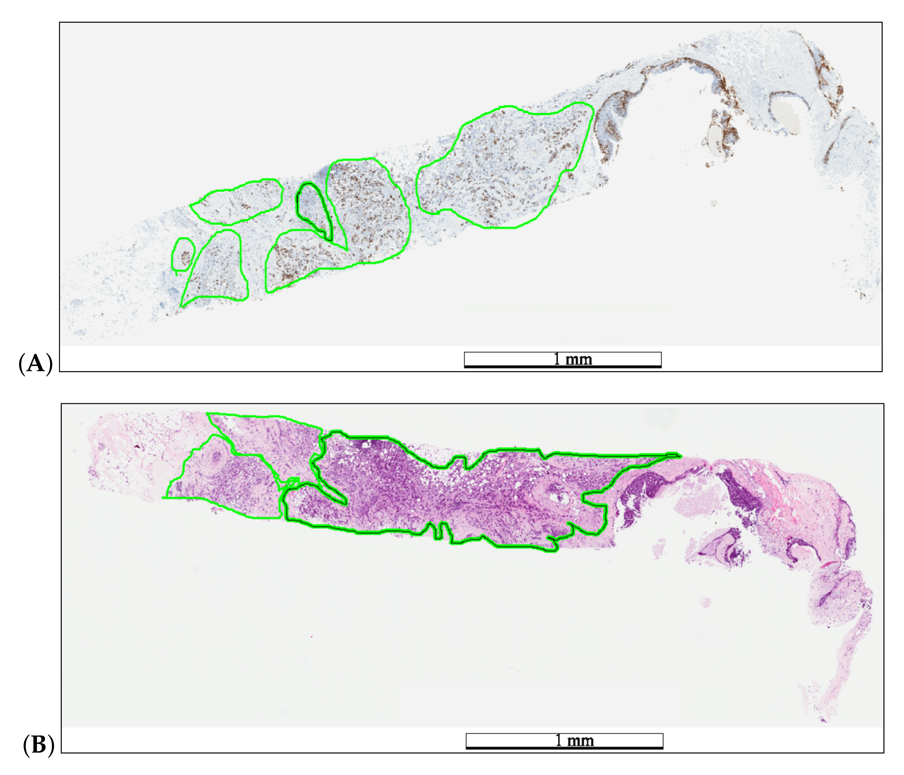 Applsci 10 07761 g002