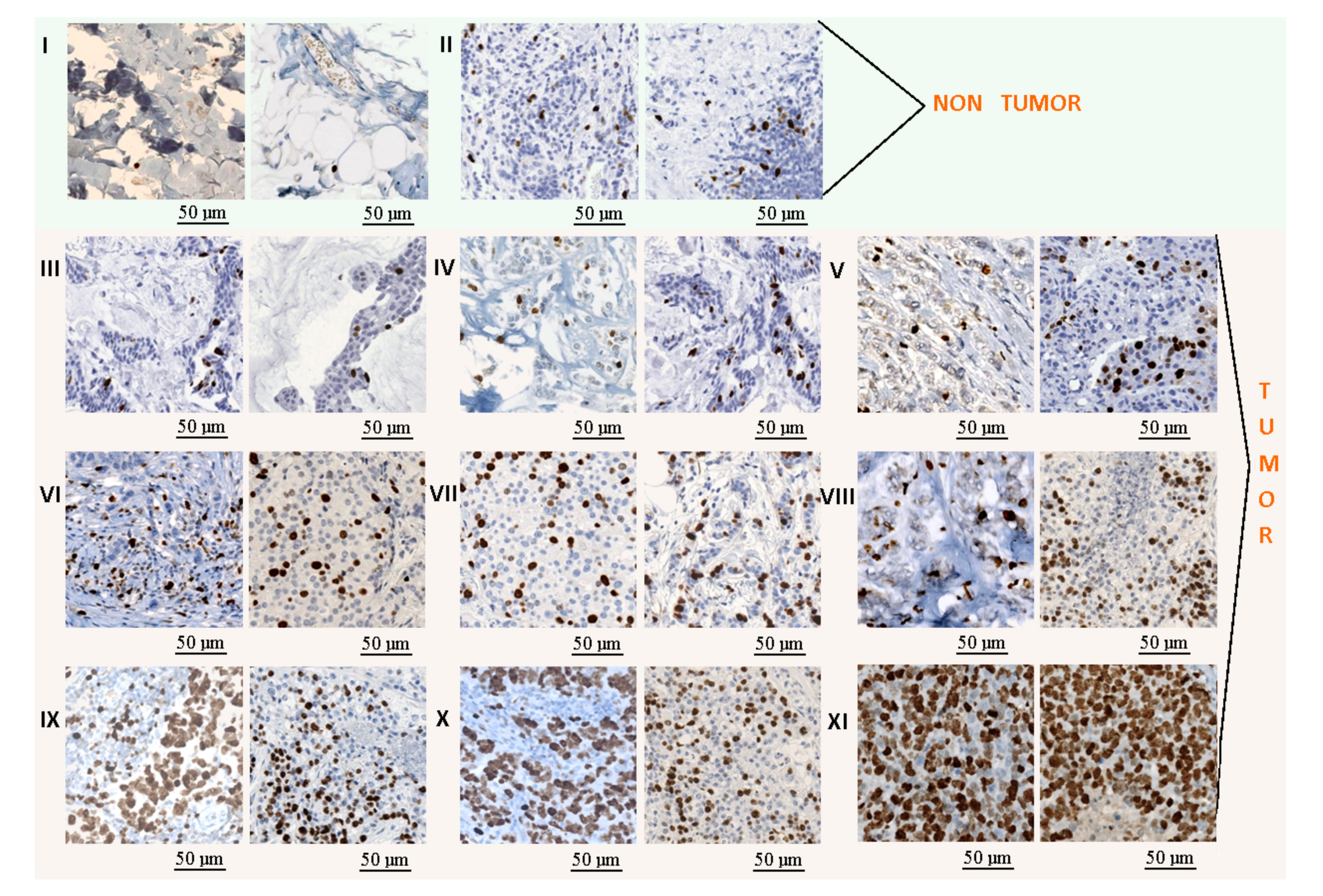 Applsci 10 07761 g003