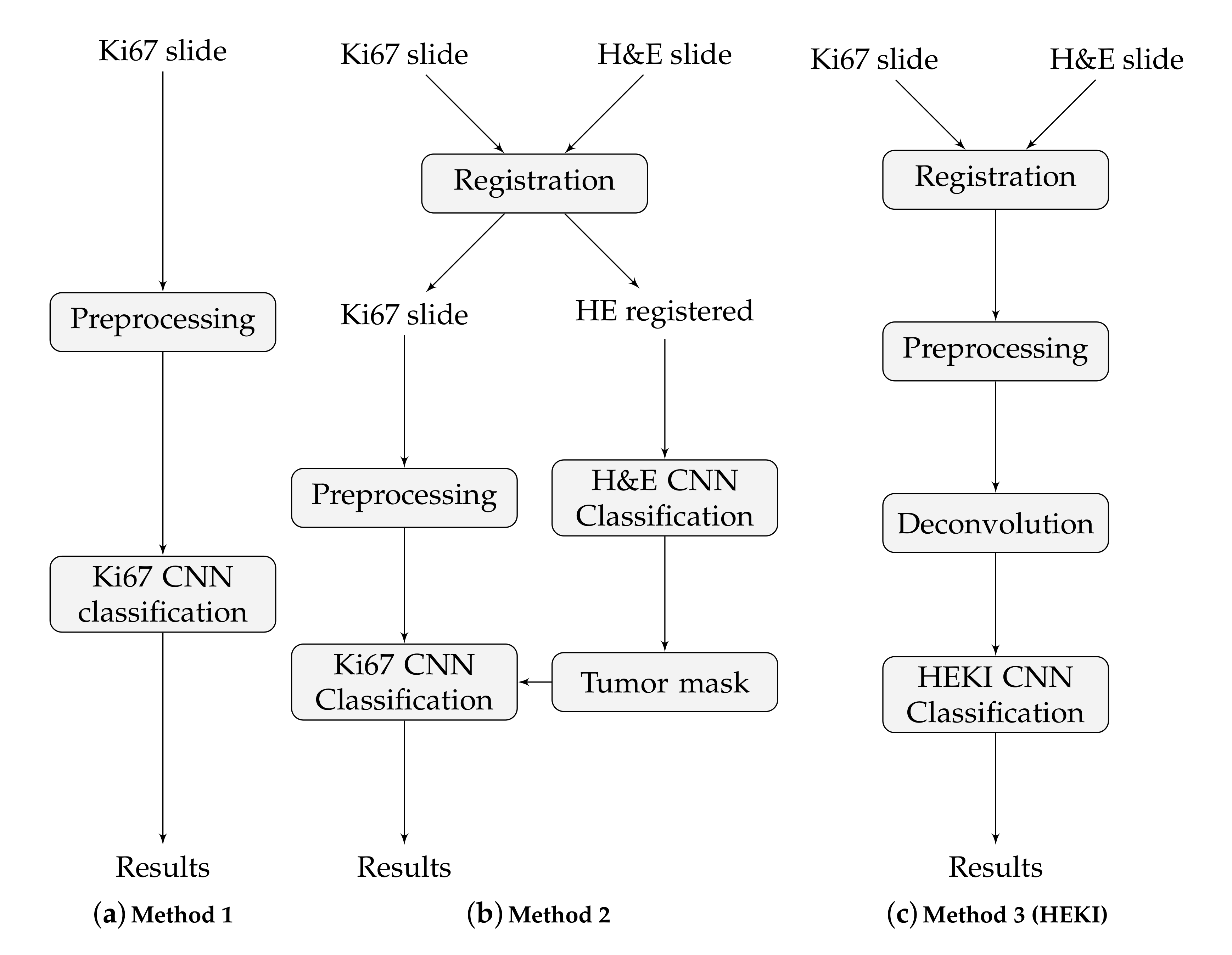 Applsci 10 07761 g004