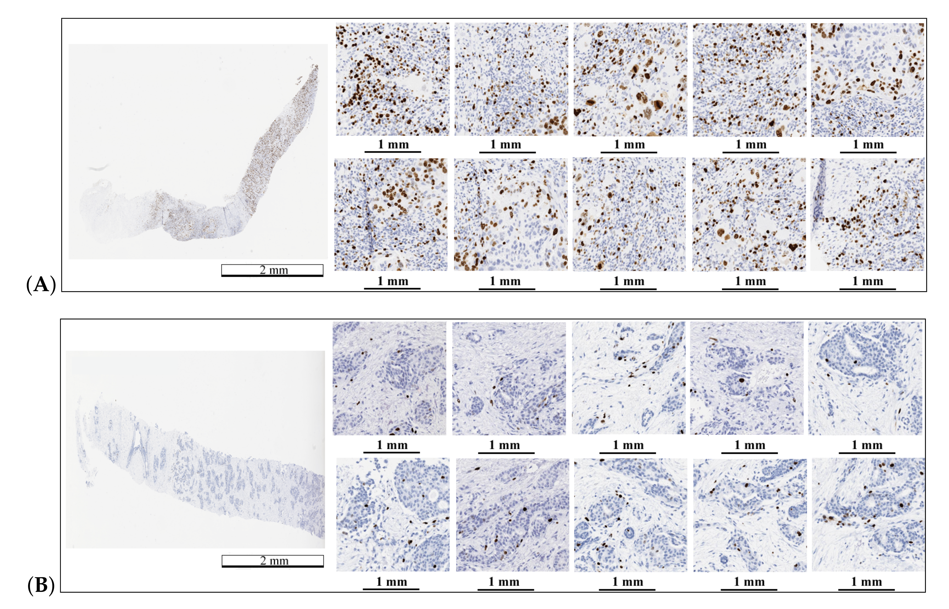 Applsci 10 07761 g007