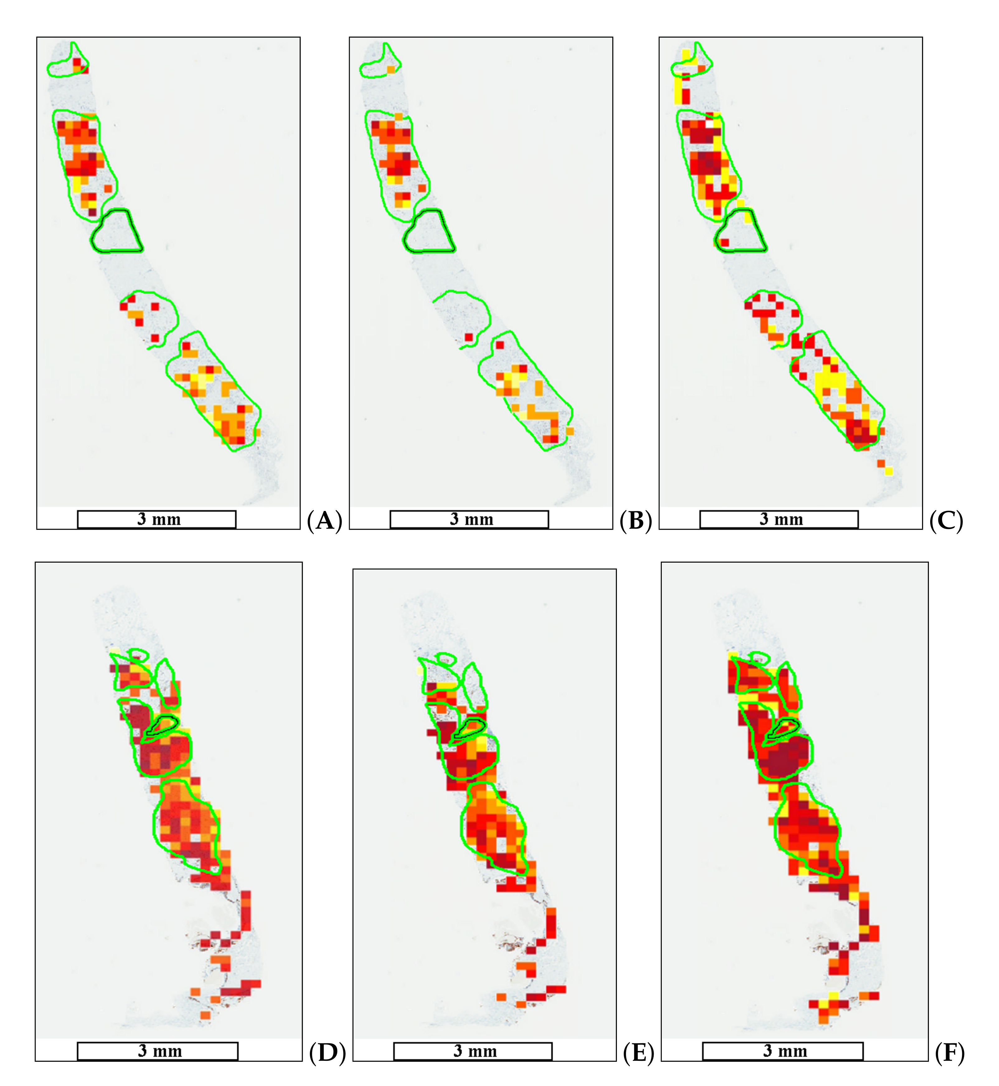 Applsci 10 07761 g009